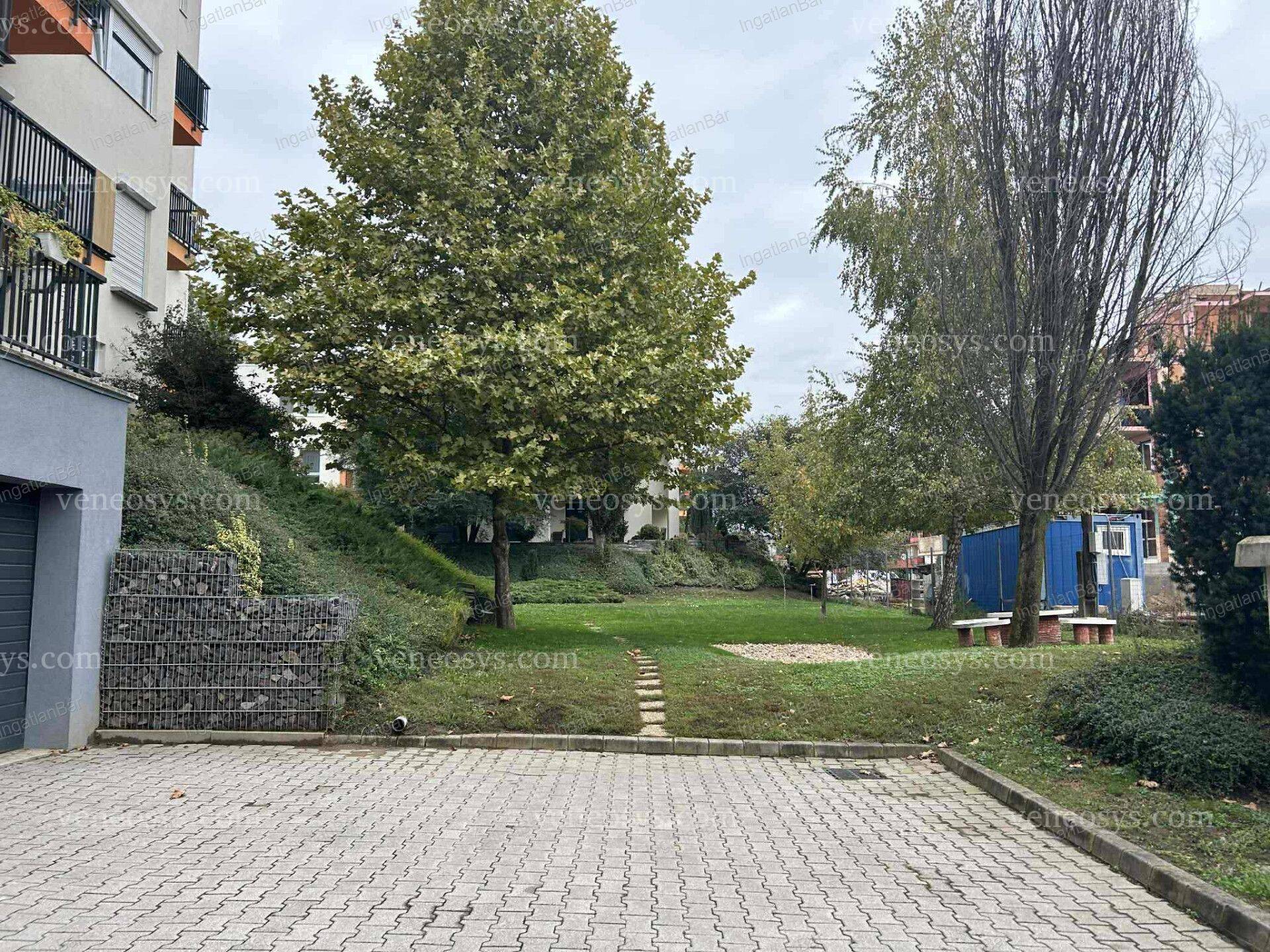Kép 12