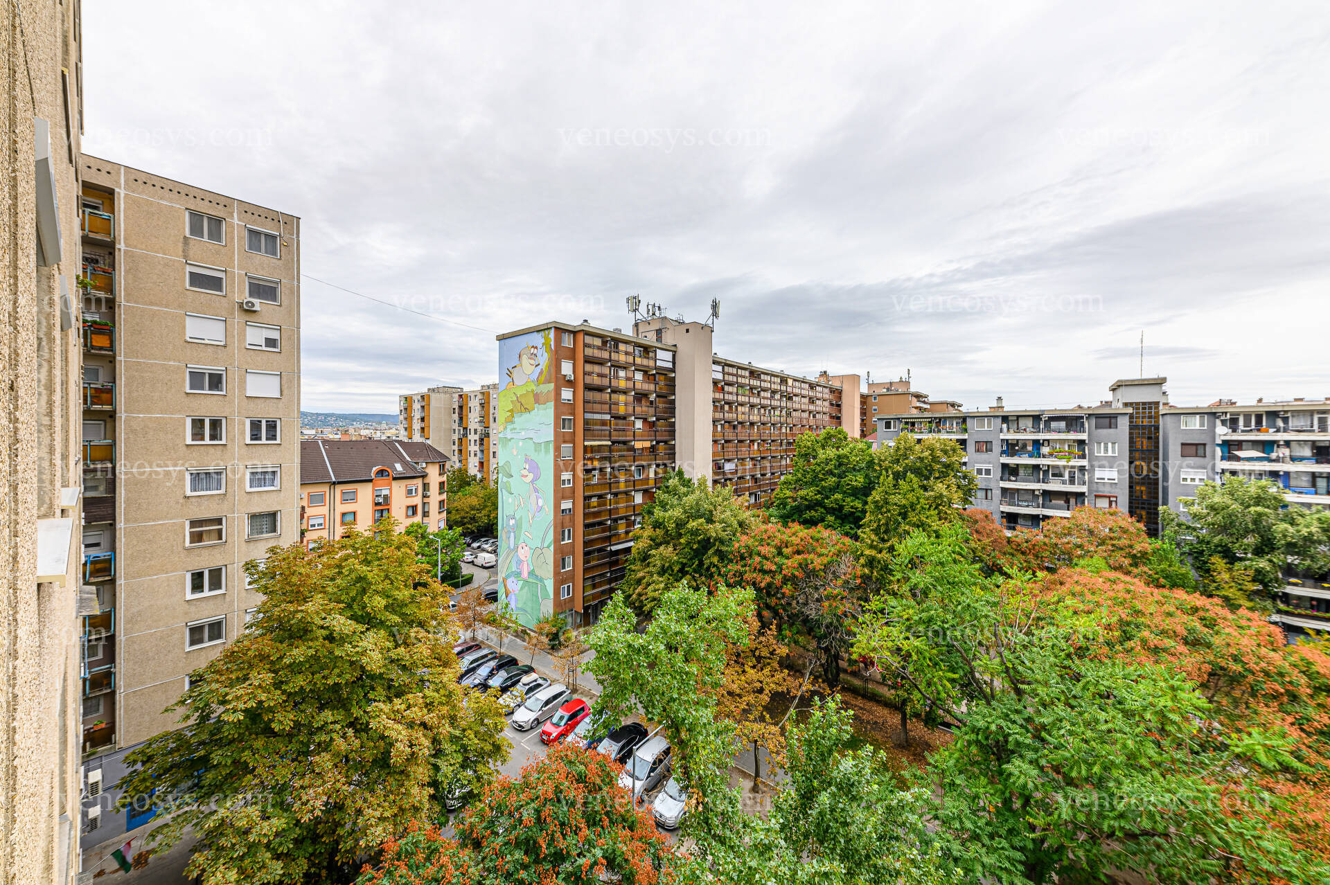 Kép 2