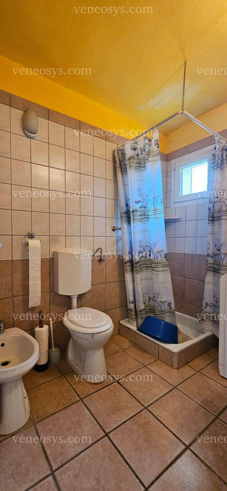 Kép 21