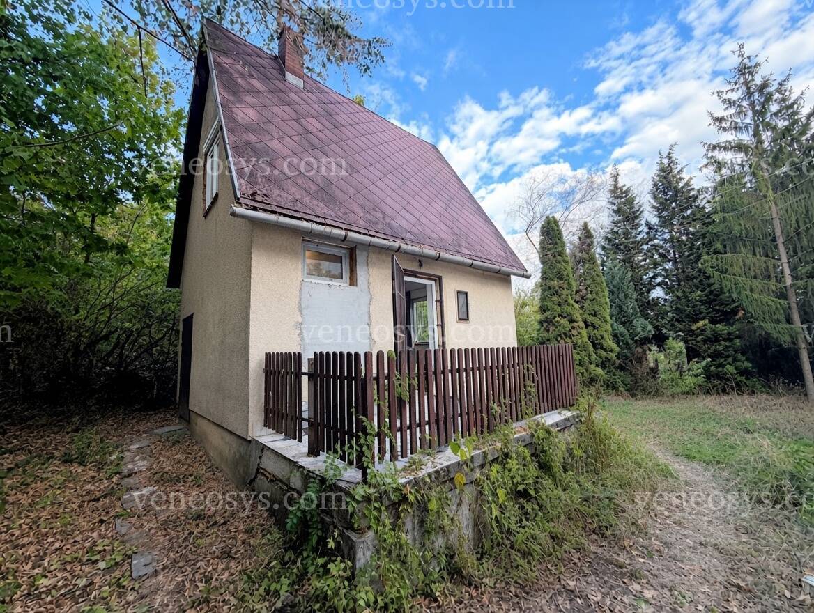 Kép 14