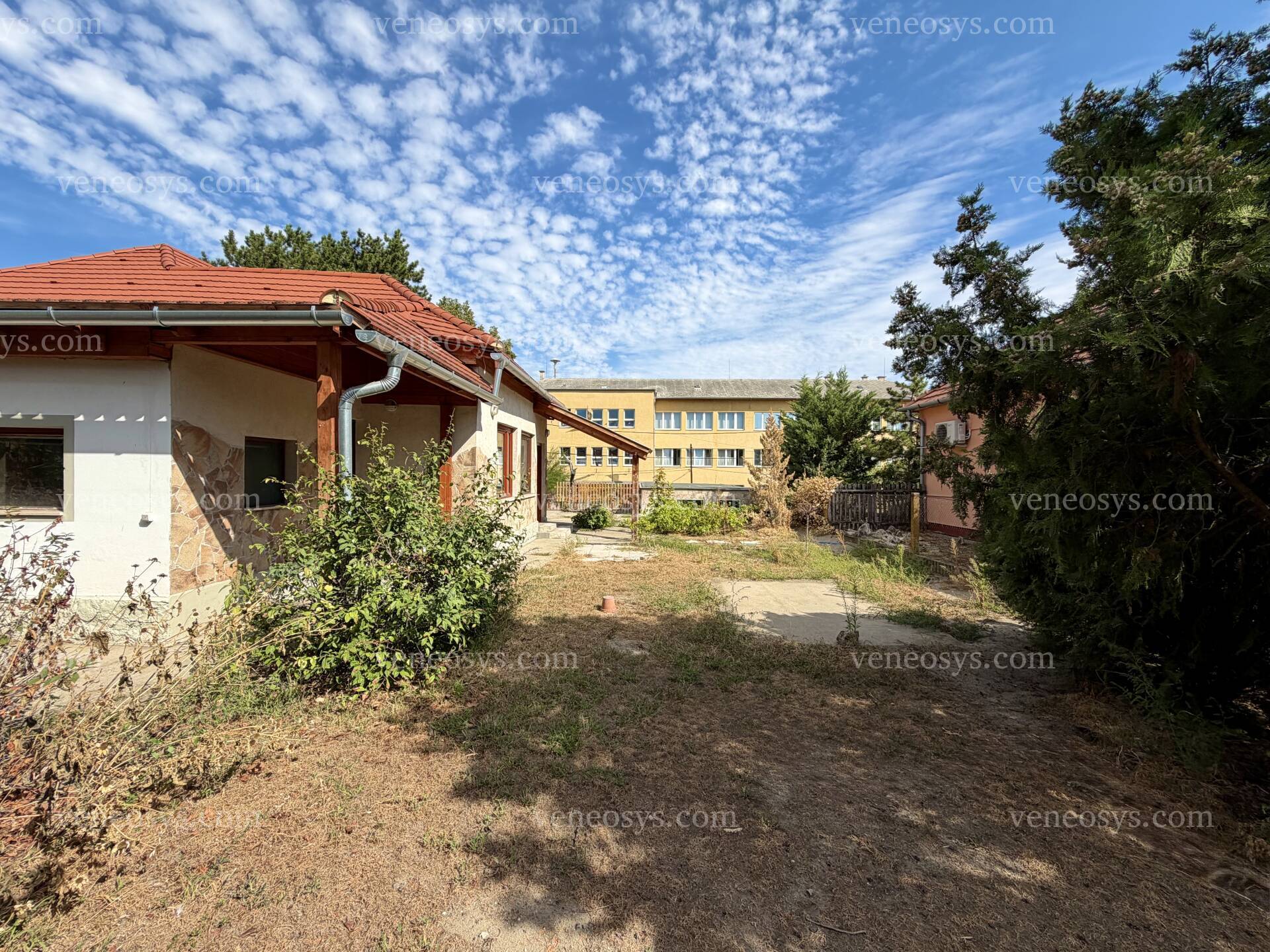 Kép 4