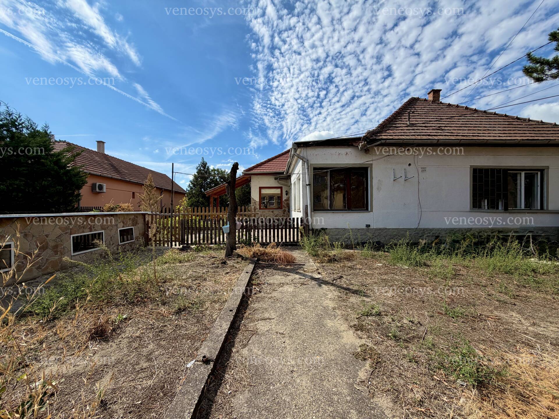 Kép 6
