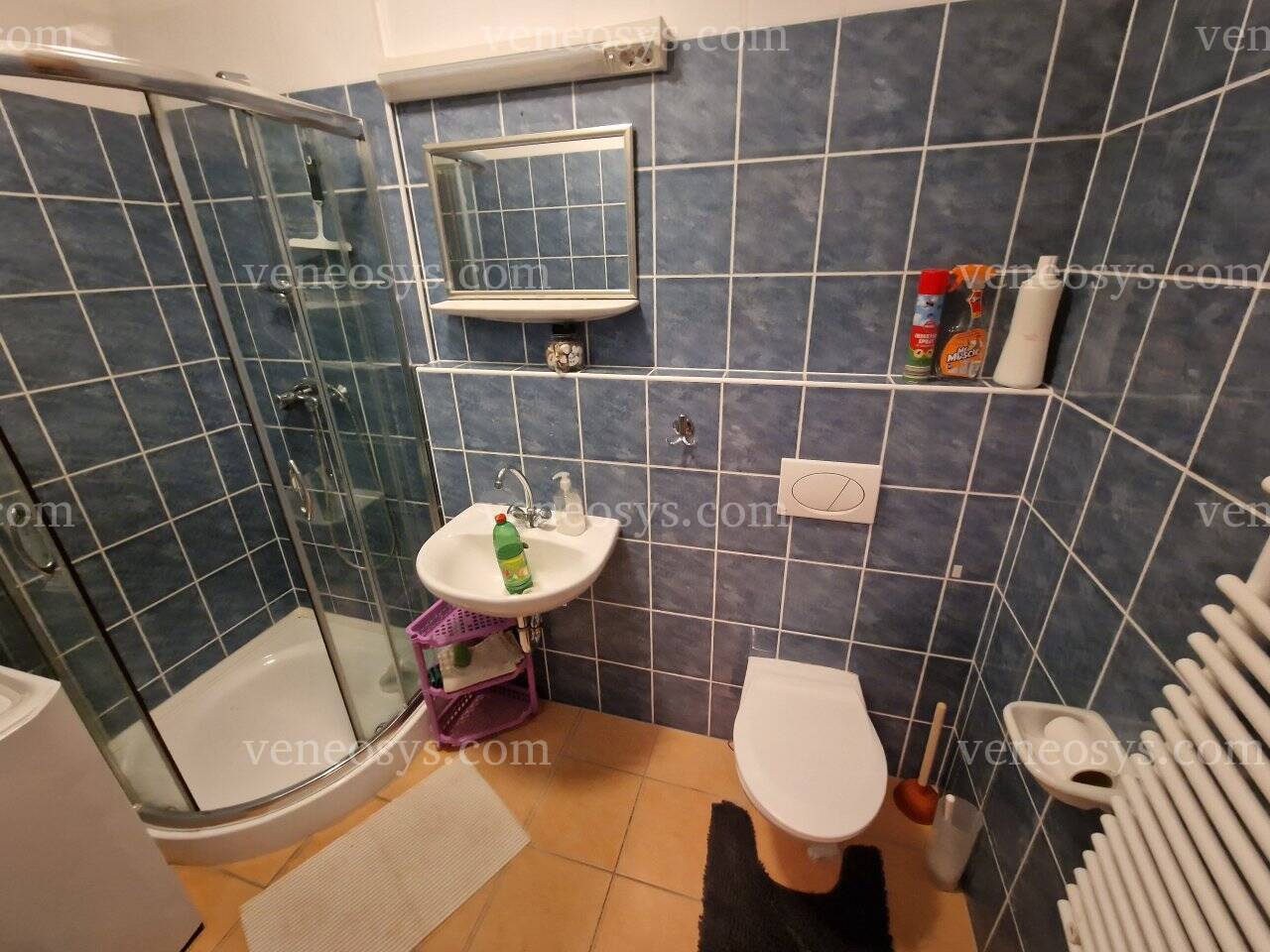 Kép 7