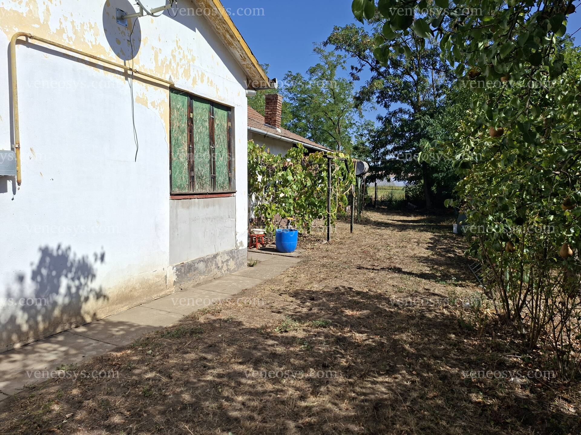 Kép 19