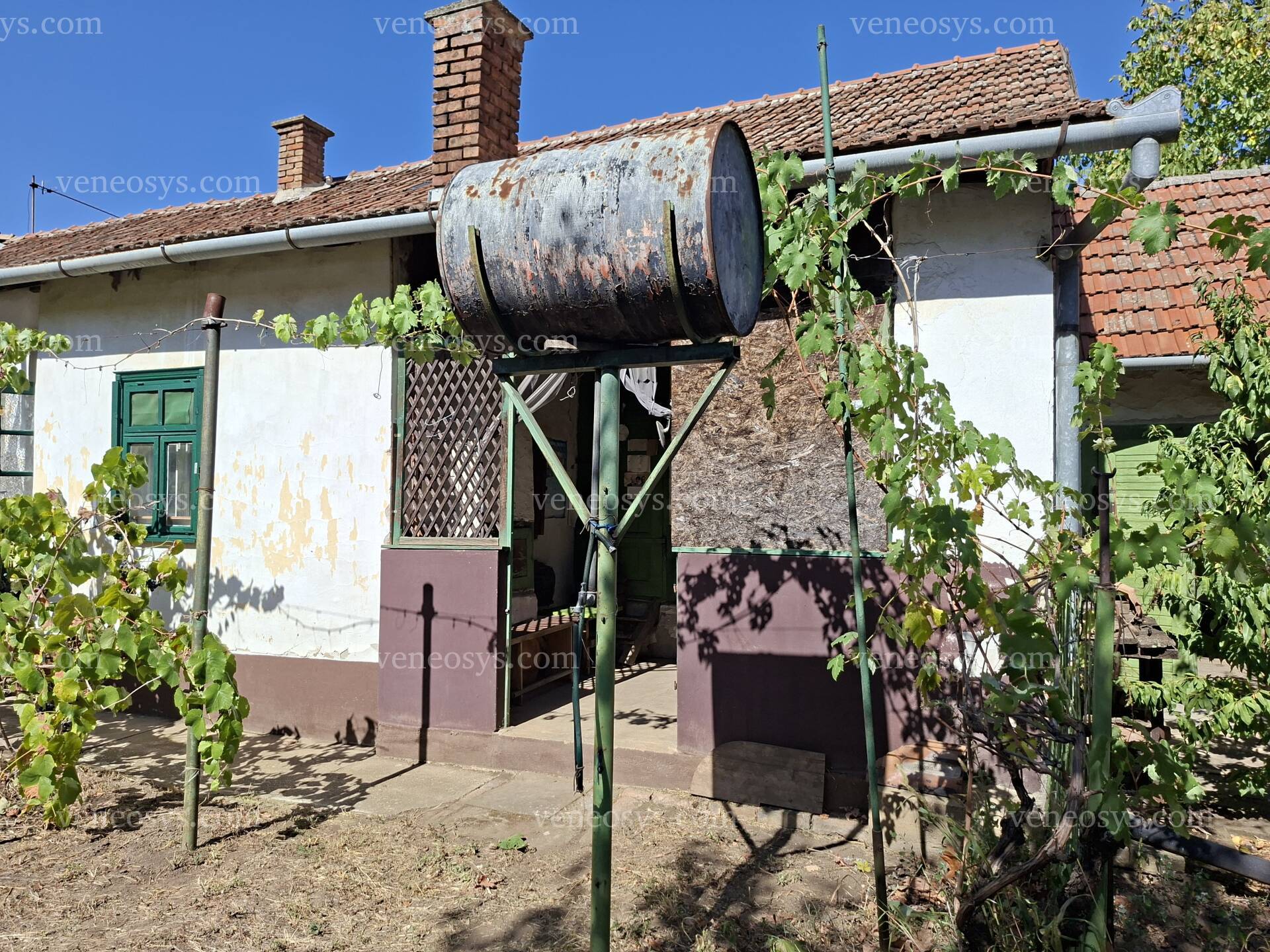 Kép 21