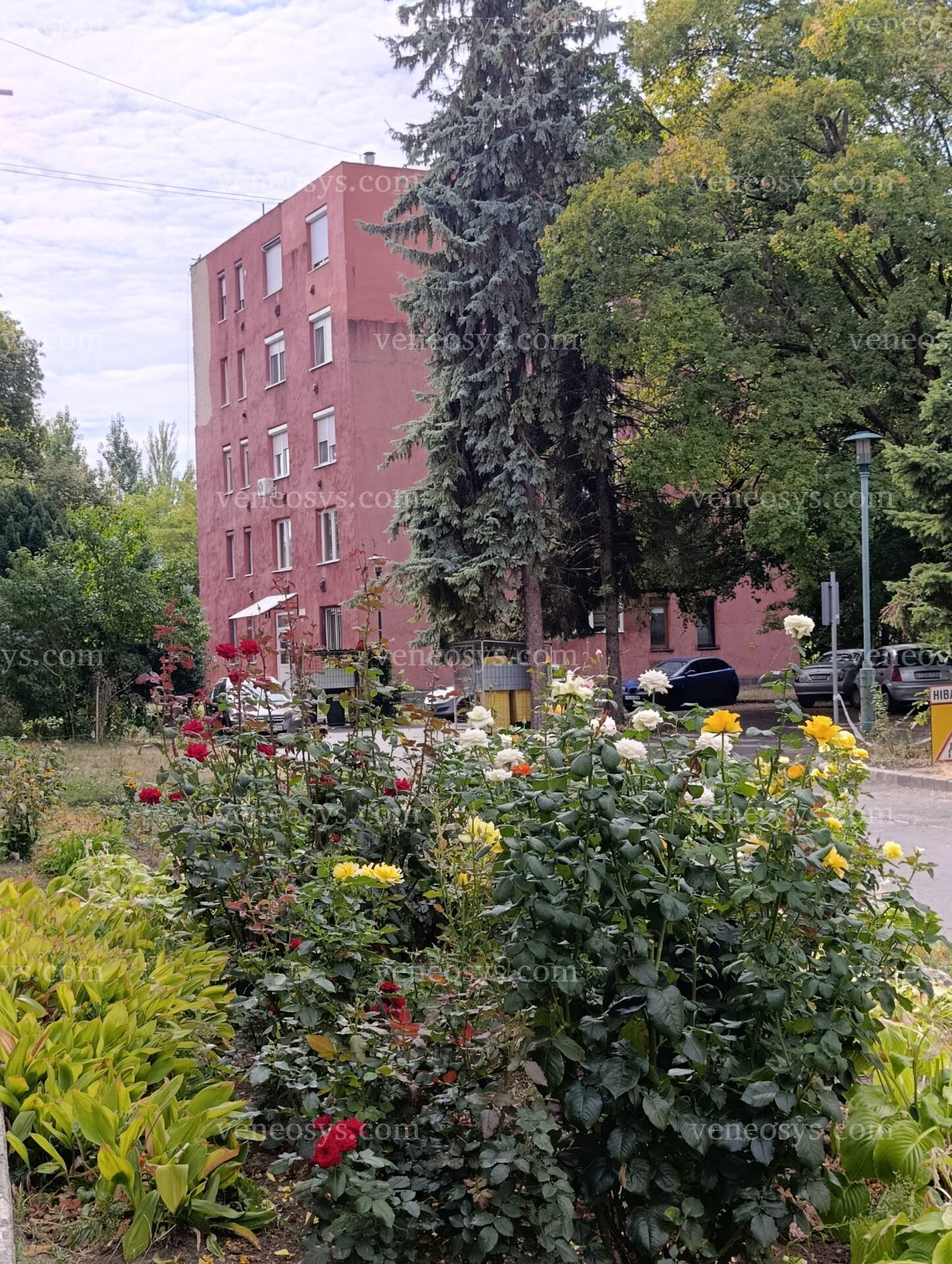 Kép 2