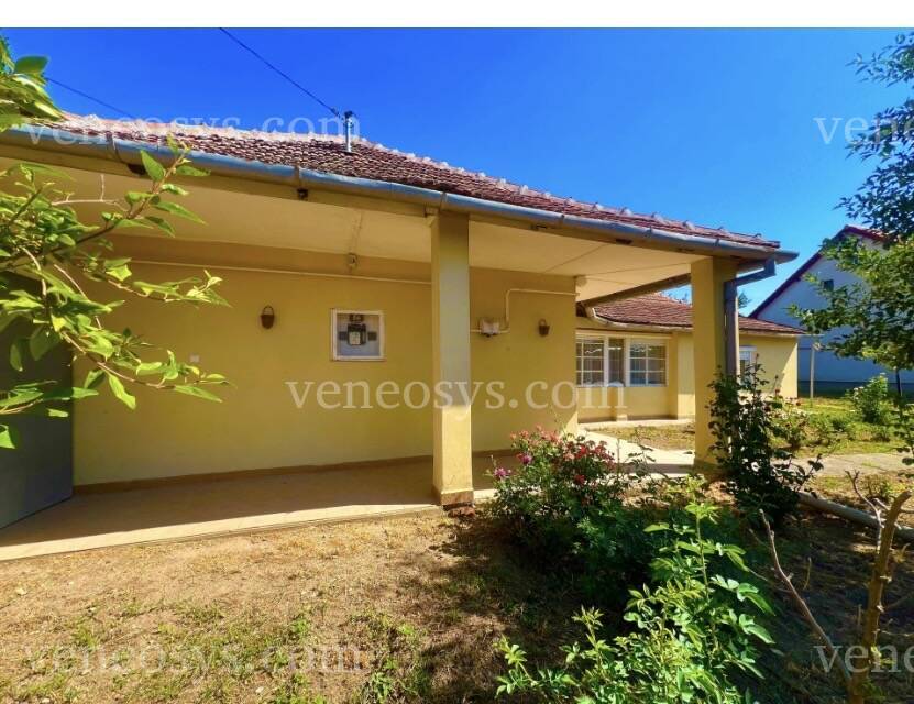 Kép 1