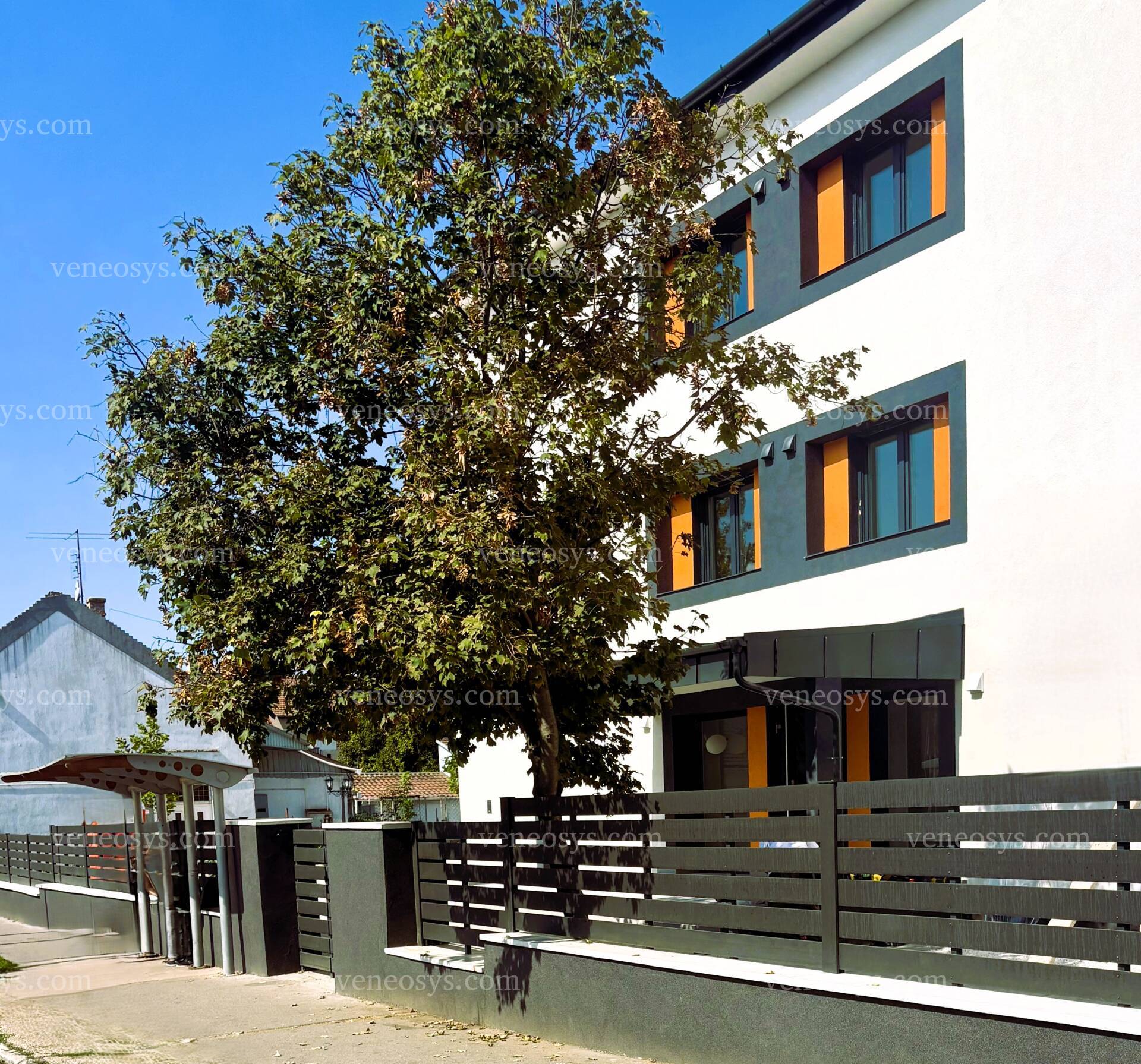 Kép 2