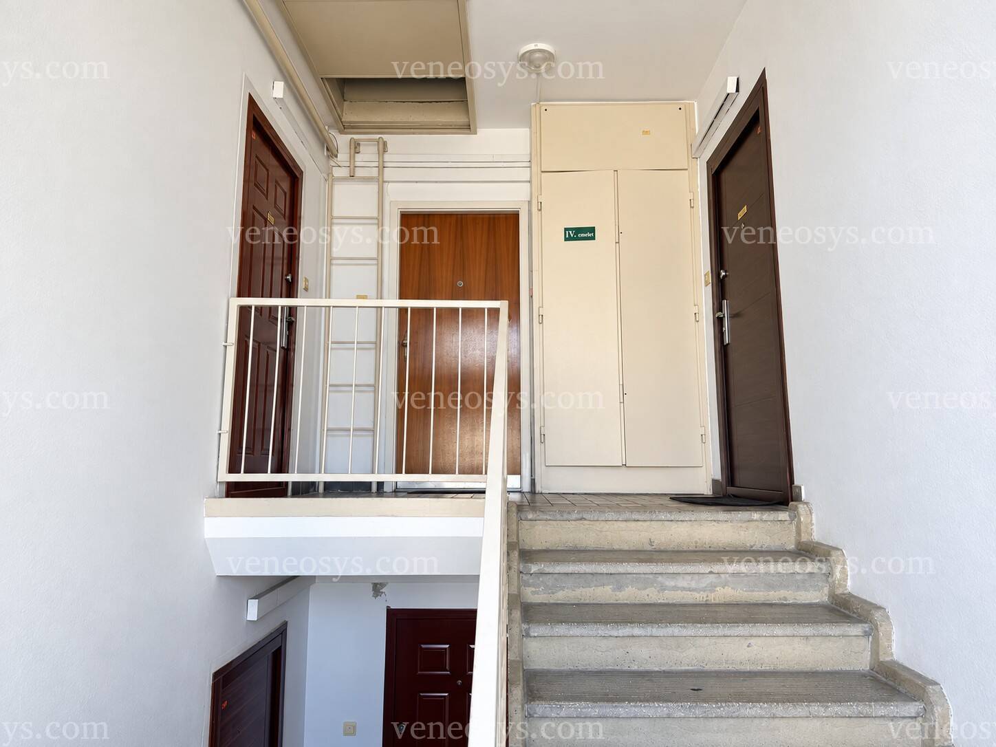 Kép 3