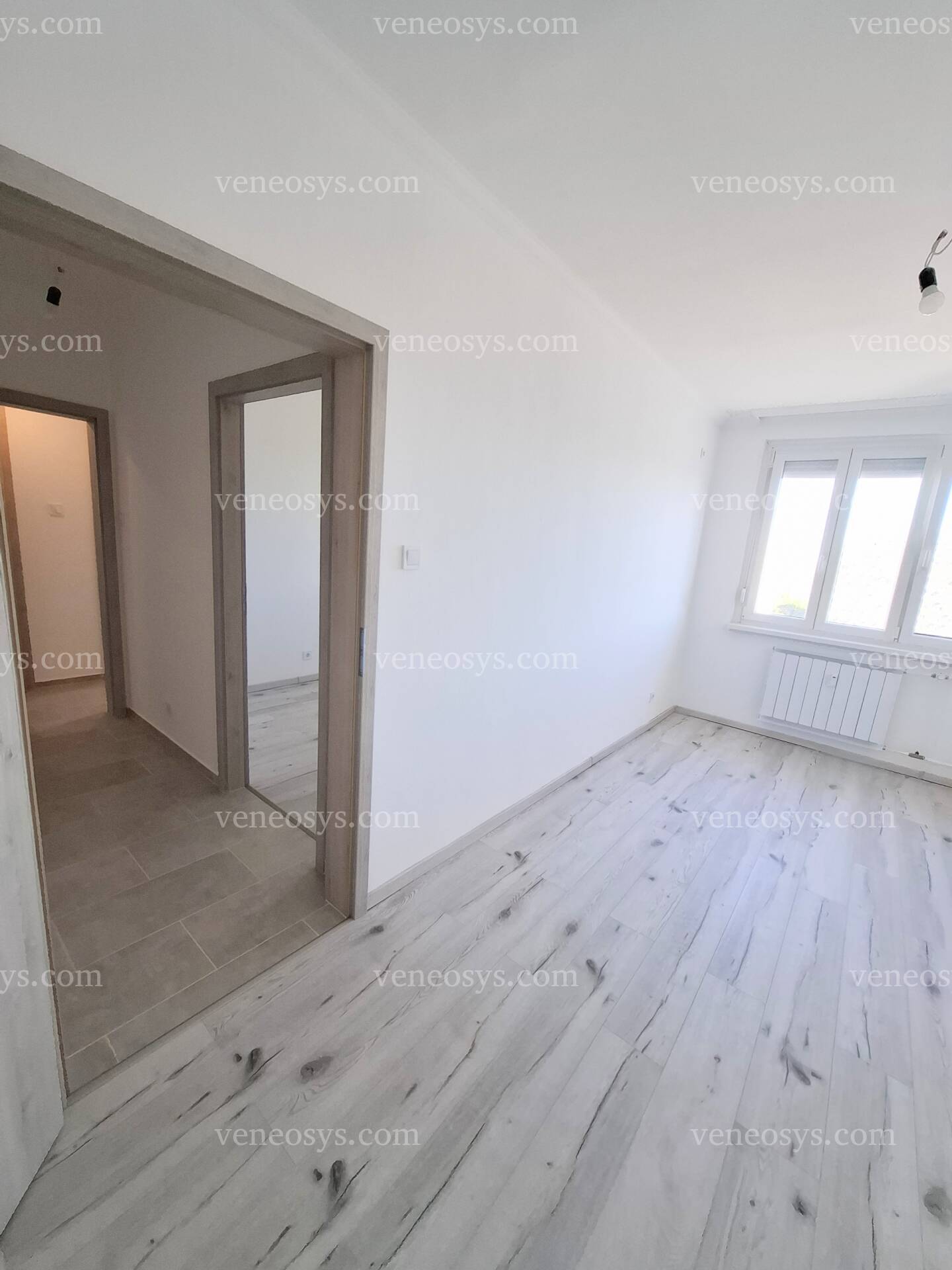 Kép 6