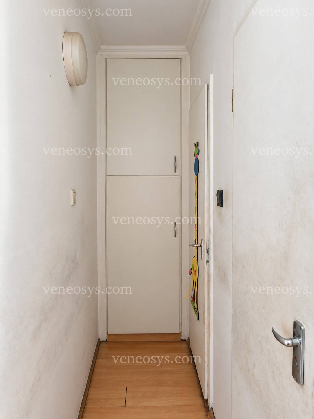 Kép 8