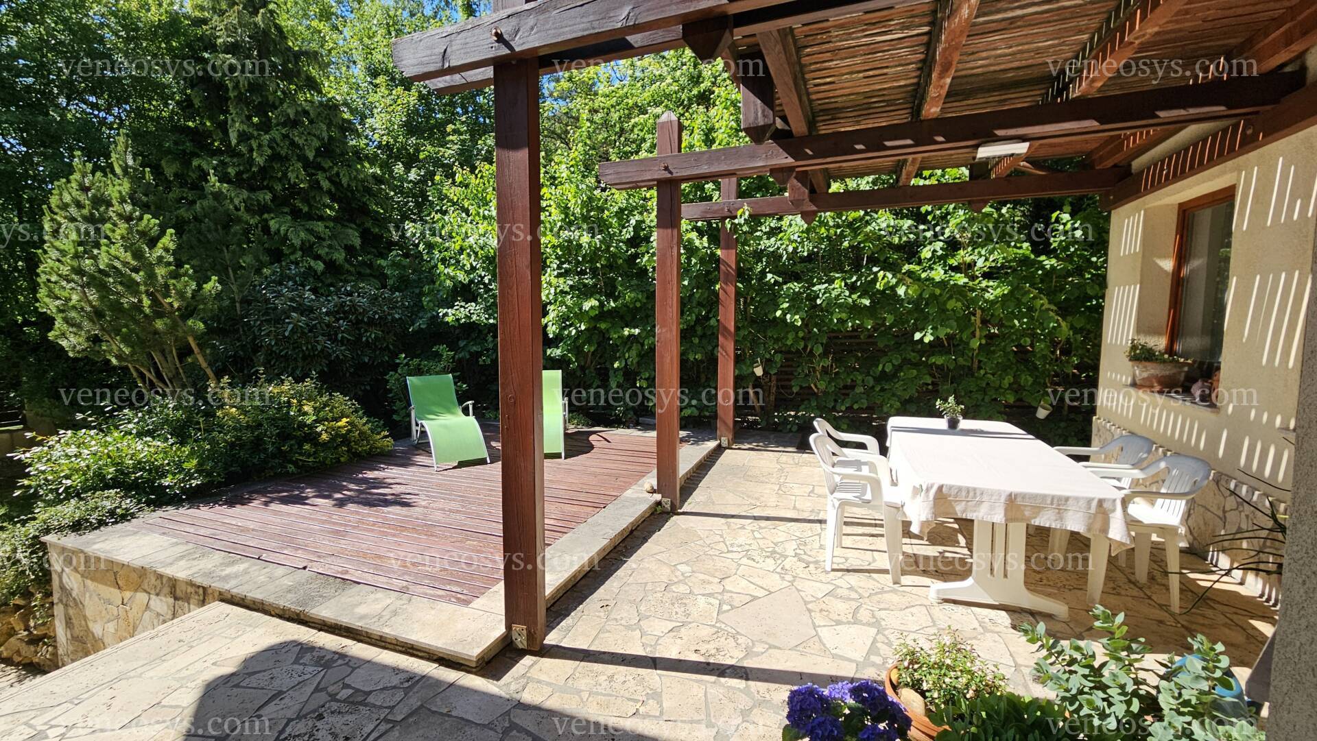 Kép 5