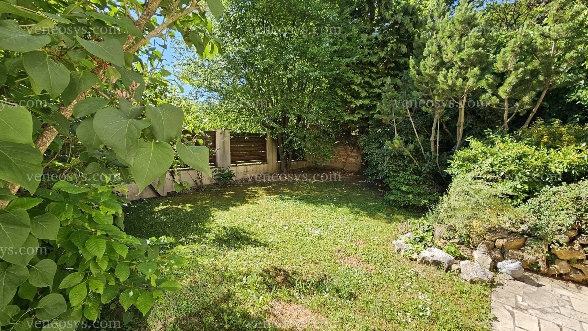 Kép 6
