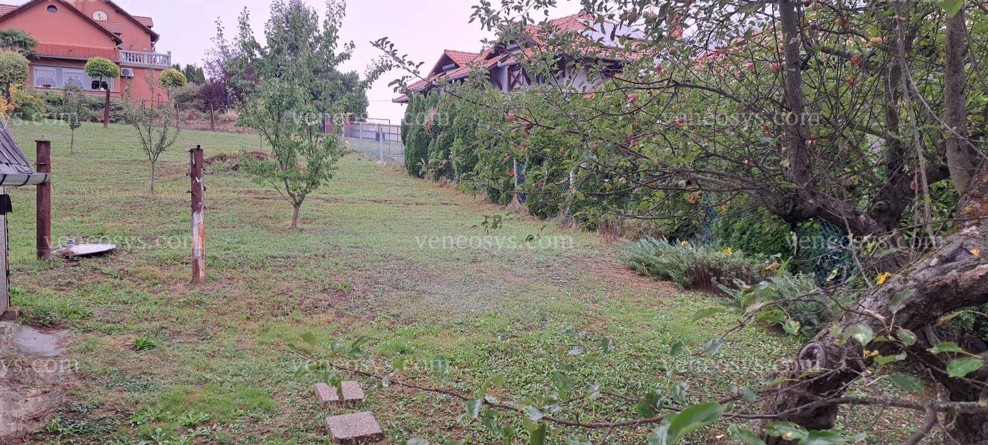 Kép 15