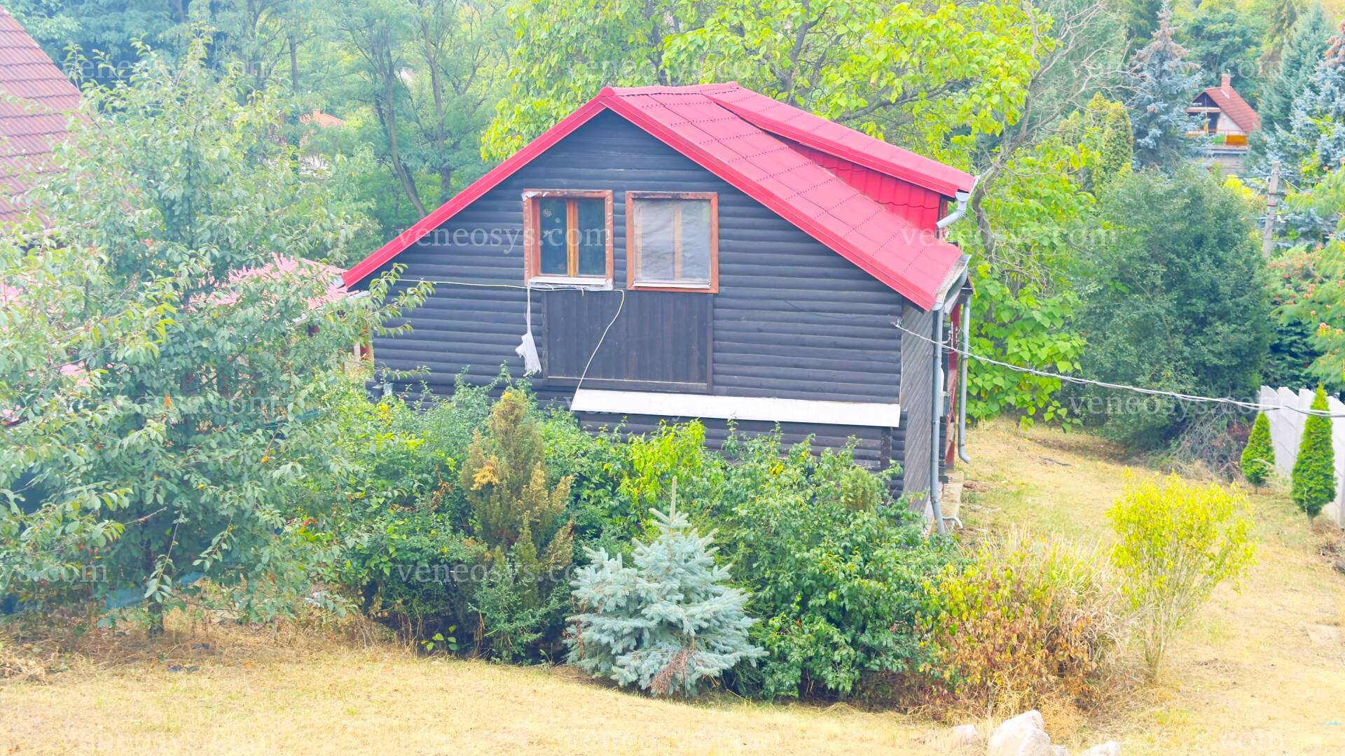 Kép 5