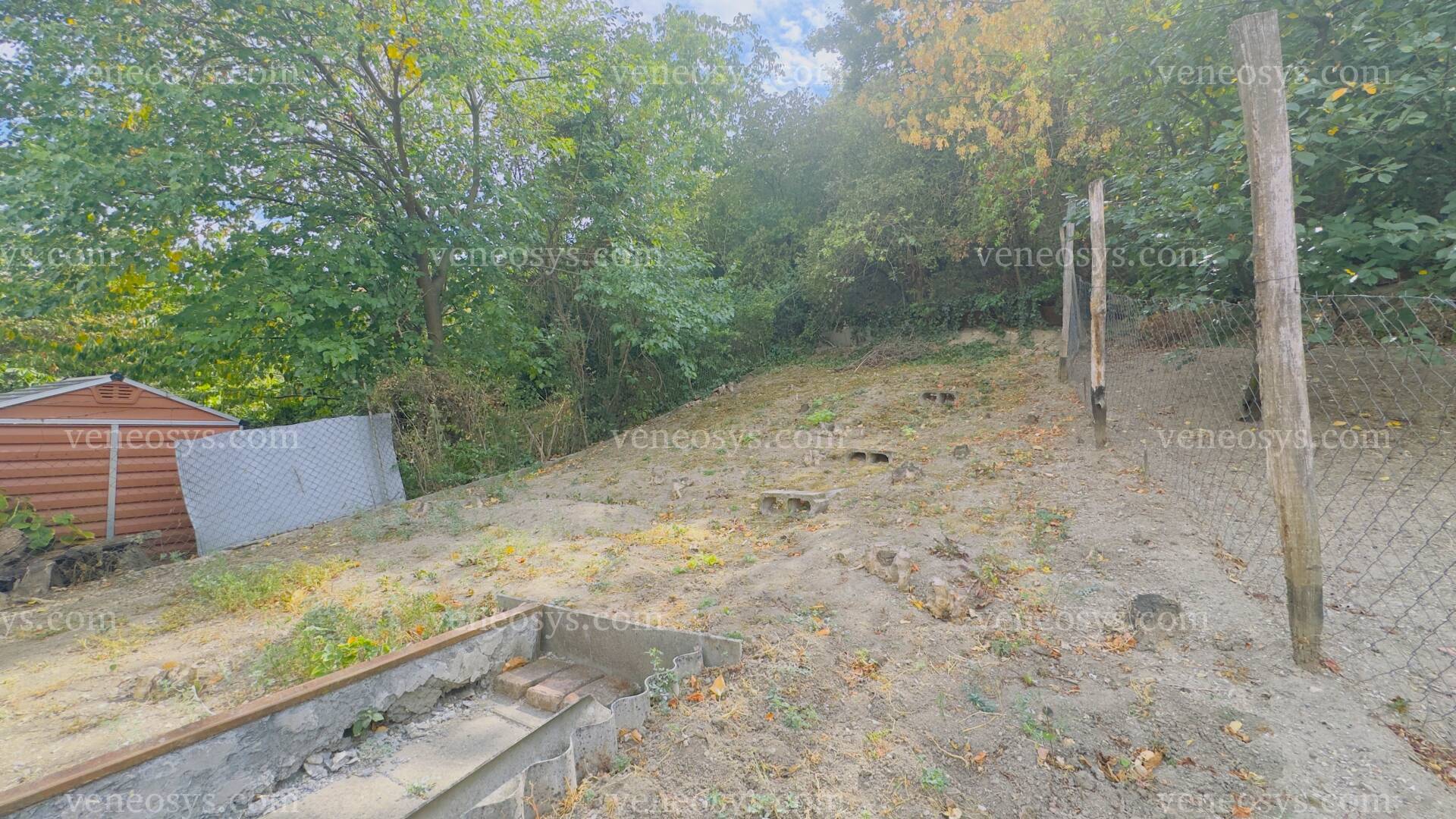 Kép 11