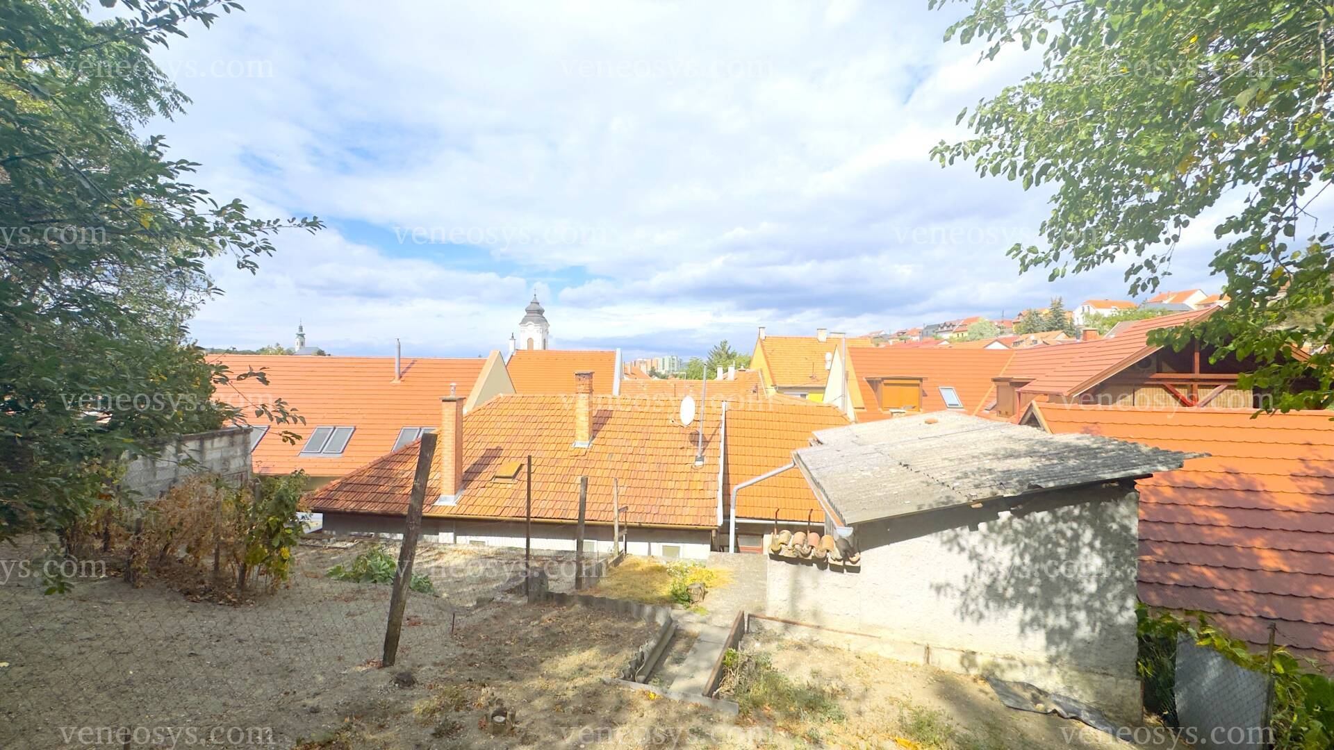 Kép 12
