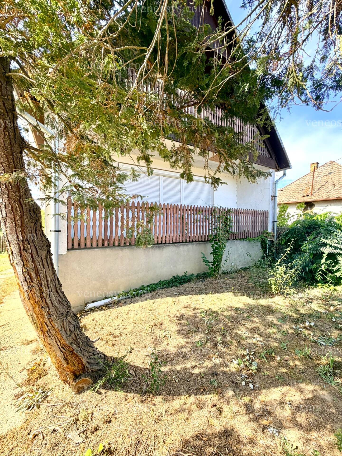 Kép 1