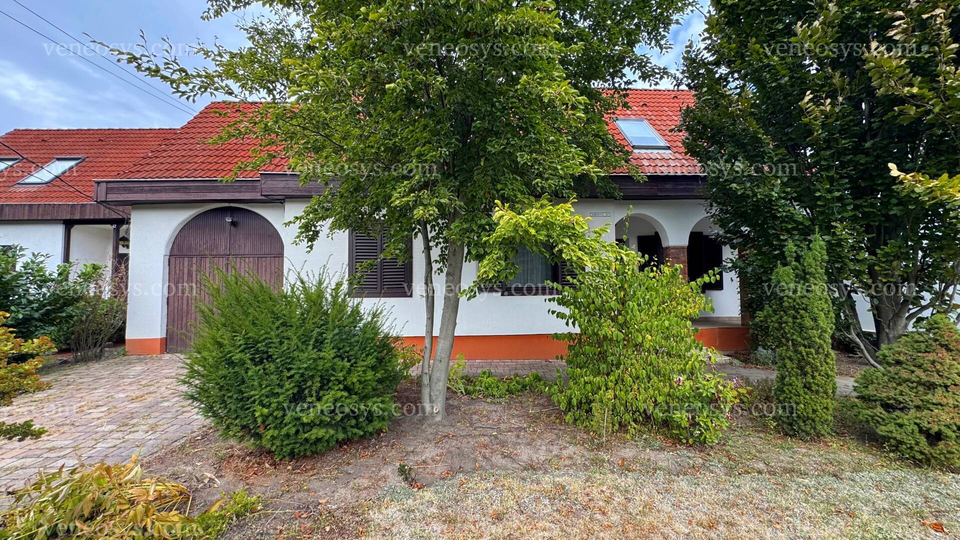 Kép 4