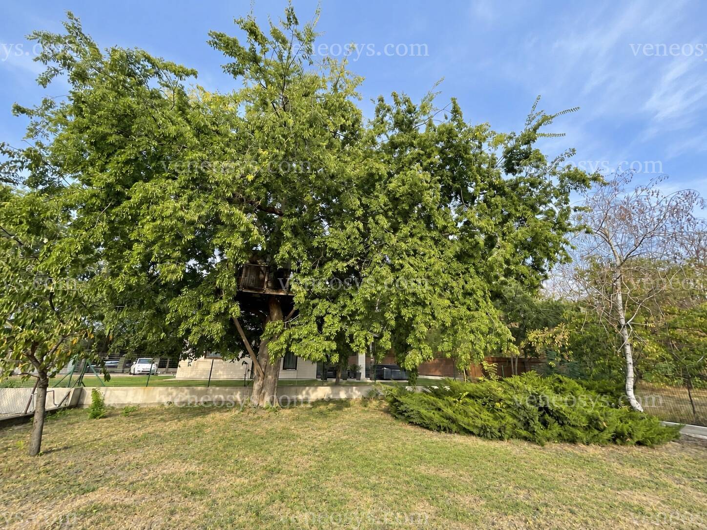 Kép 24