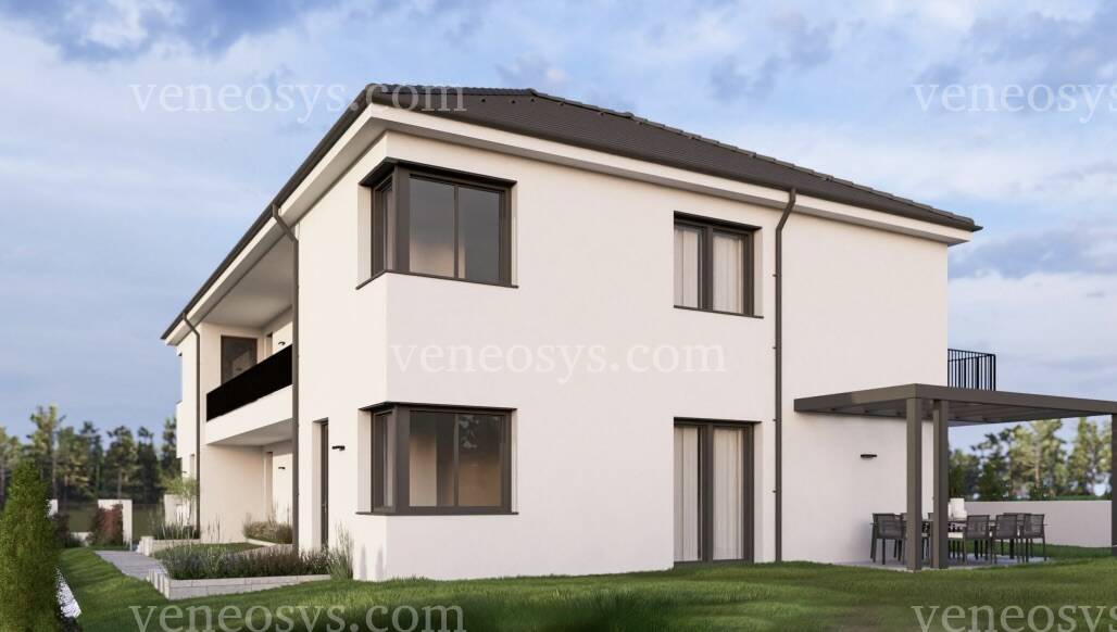 Kép 6