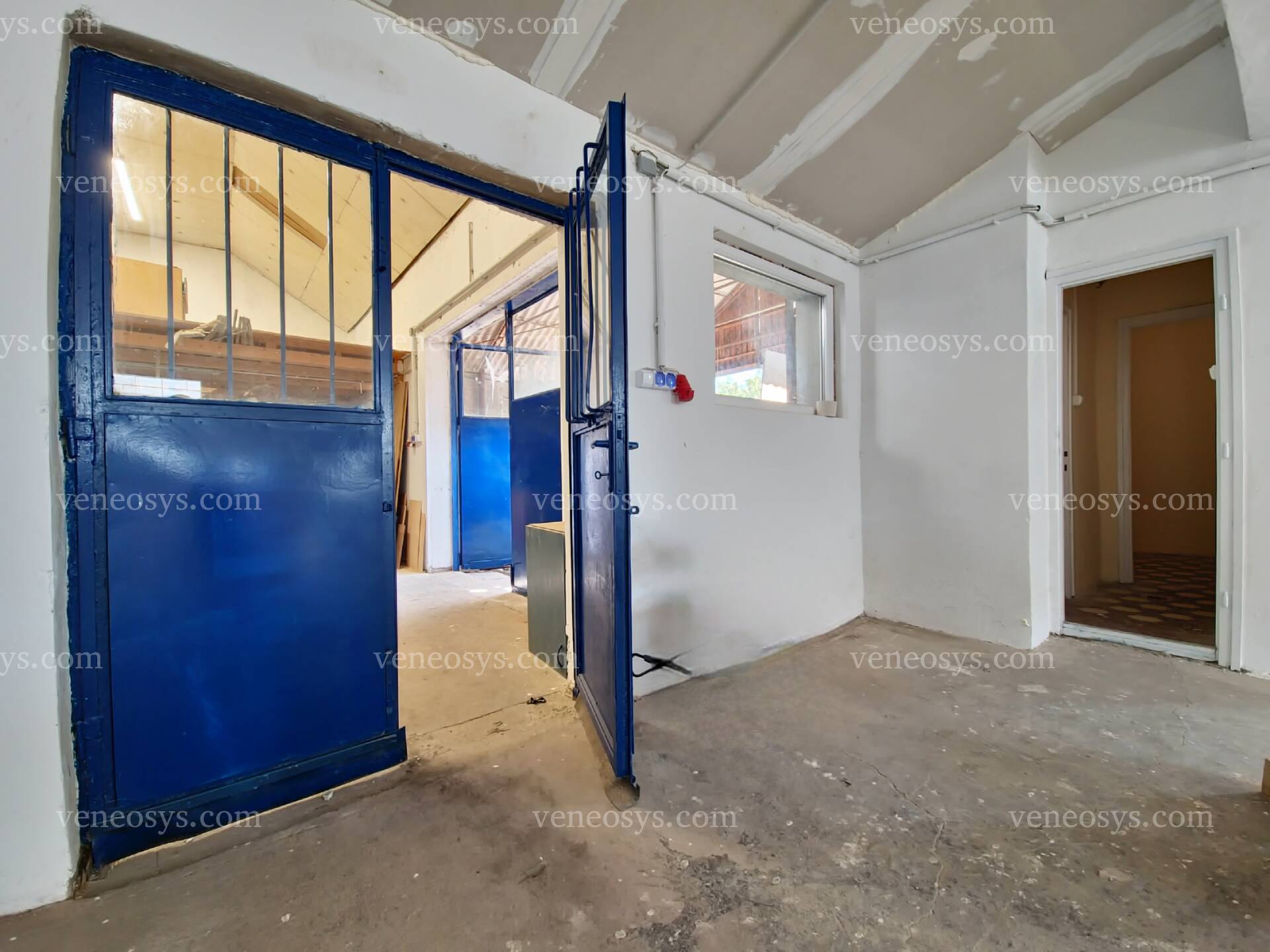 Kép 7
