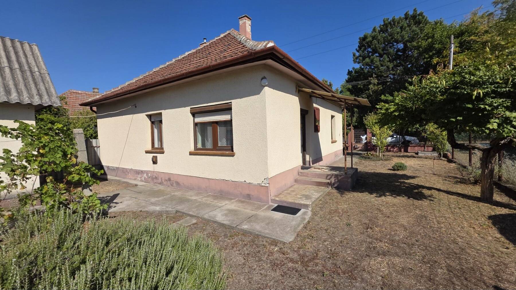 Kép 1