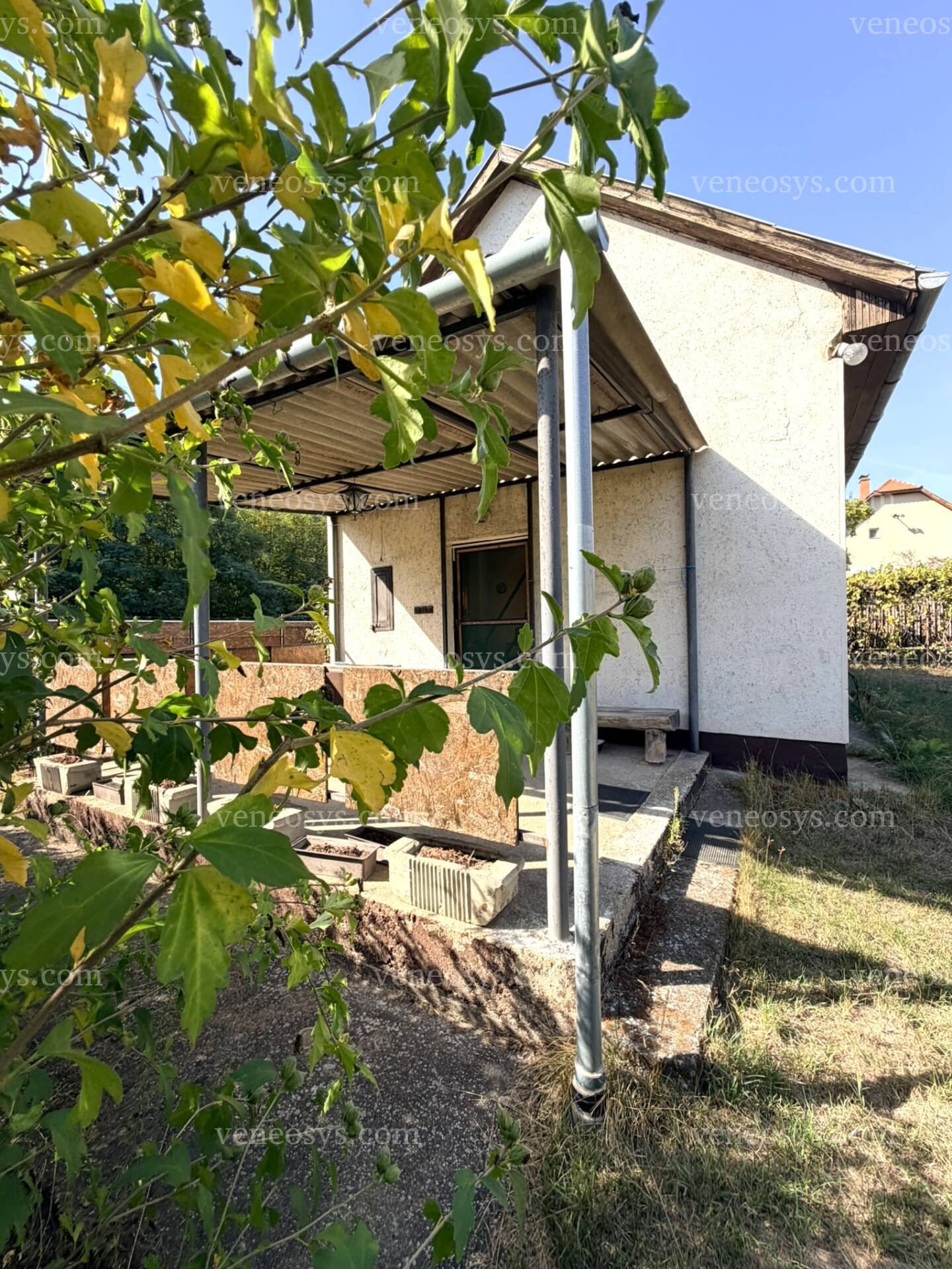 Kép 8