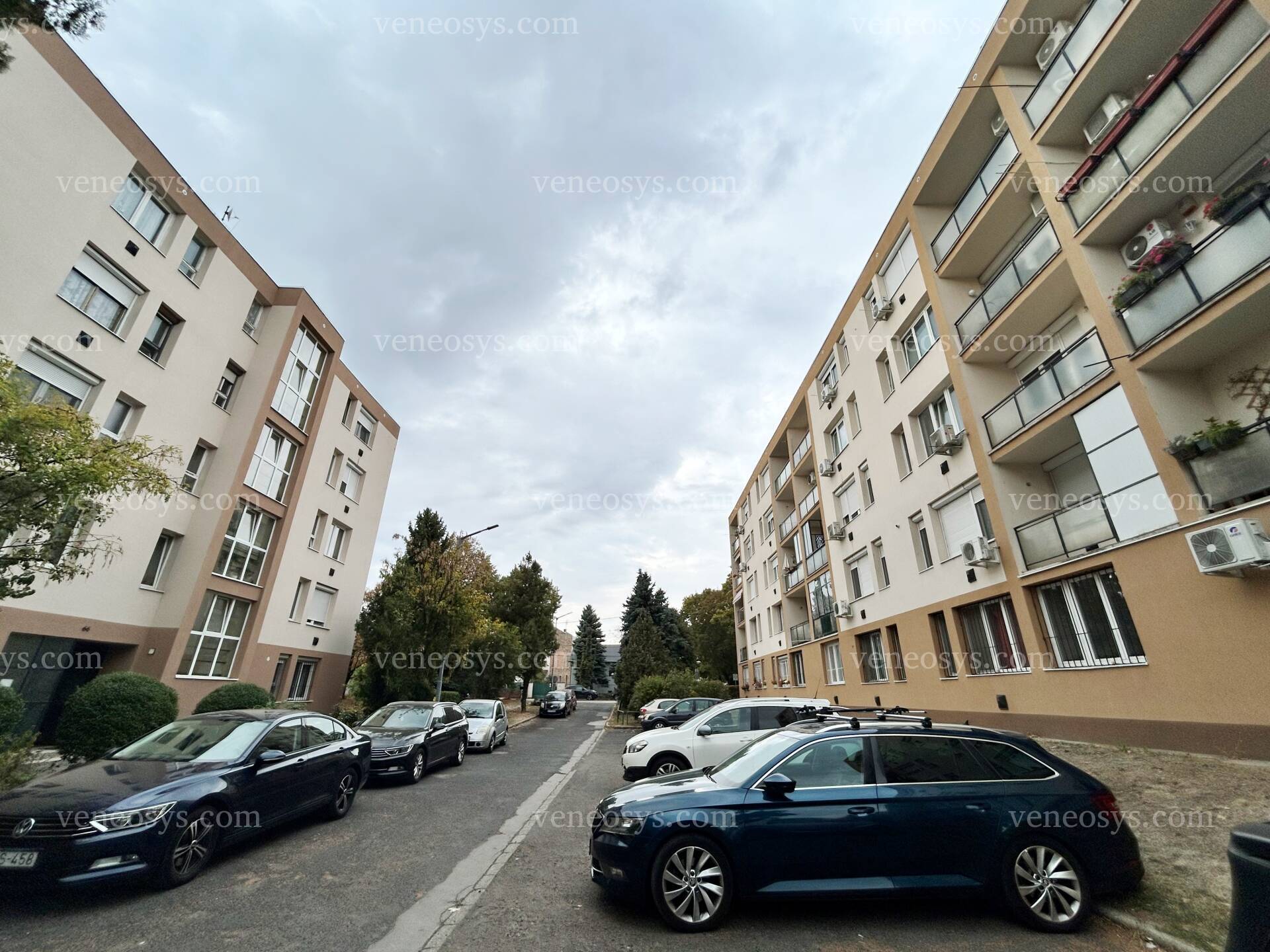 Kép 19