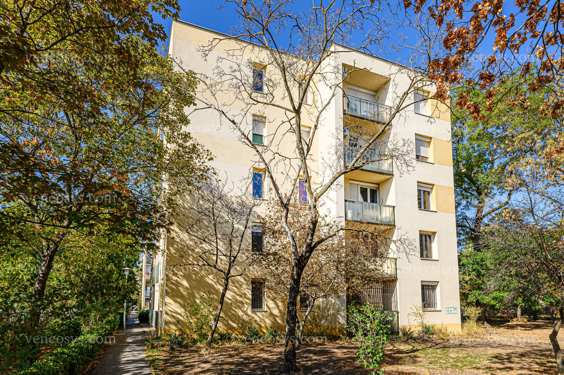 Kép 29