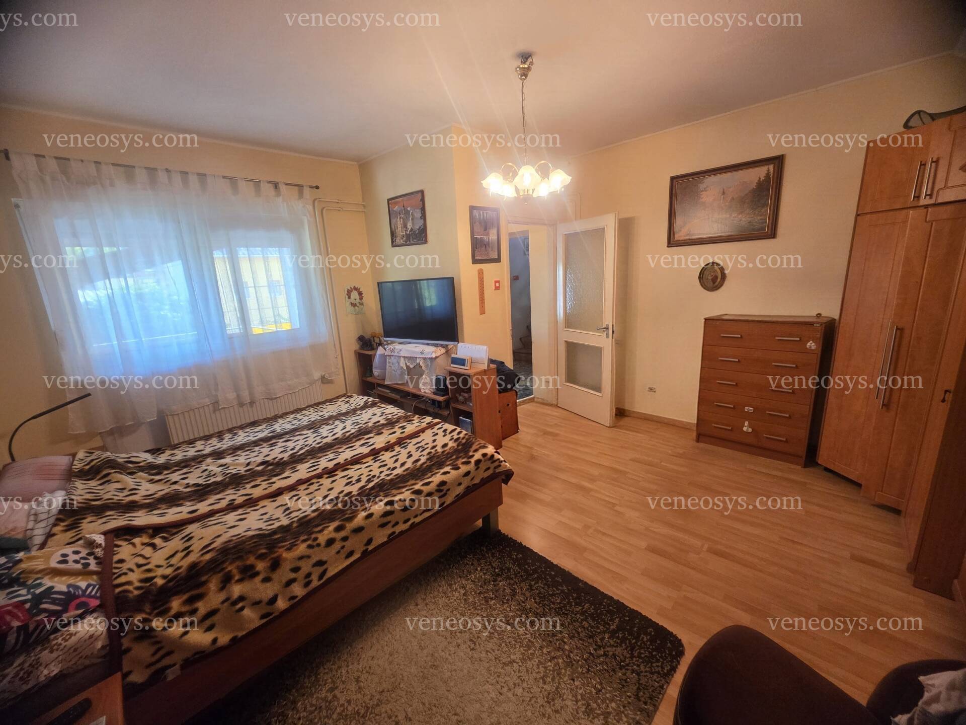 Kép 11
