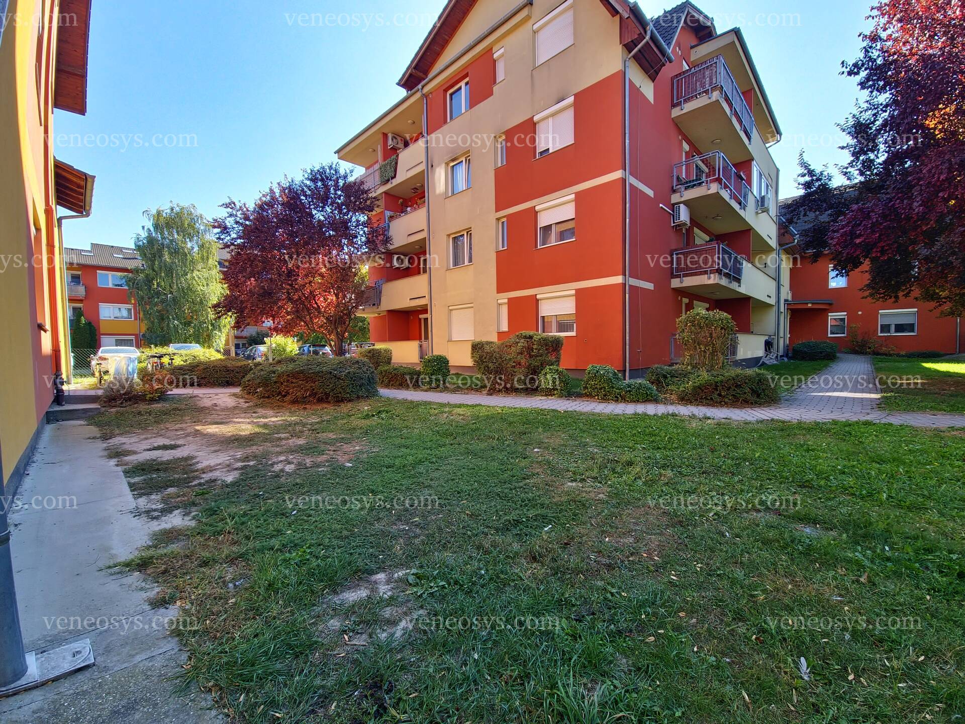 Kép 8