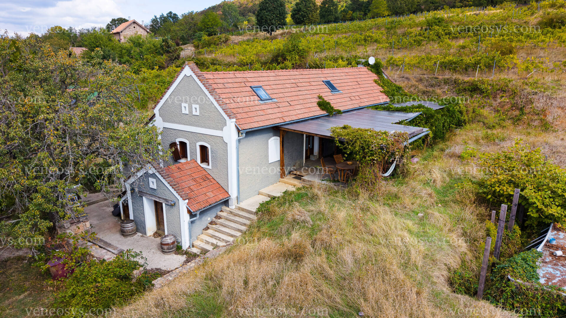 Kép 1