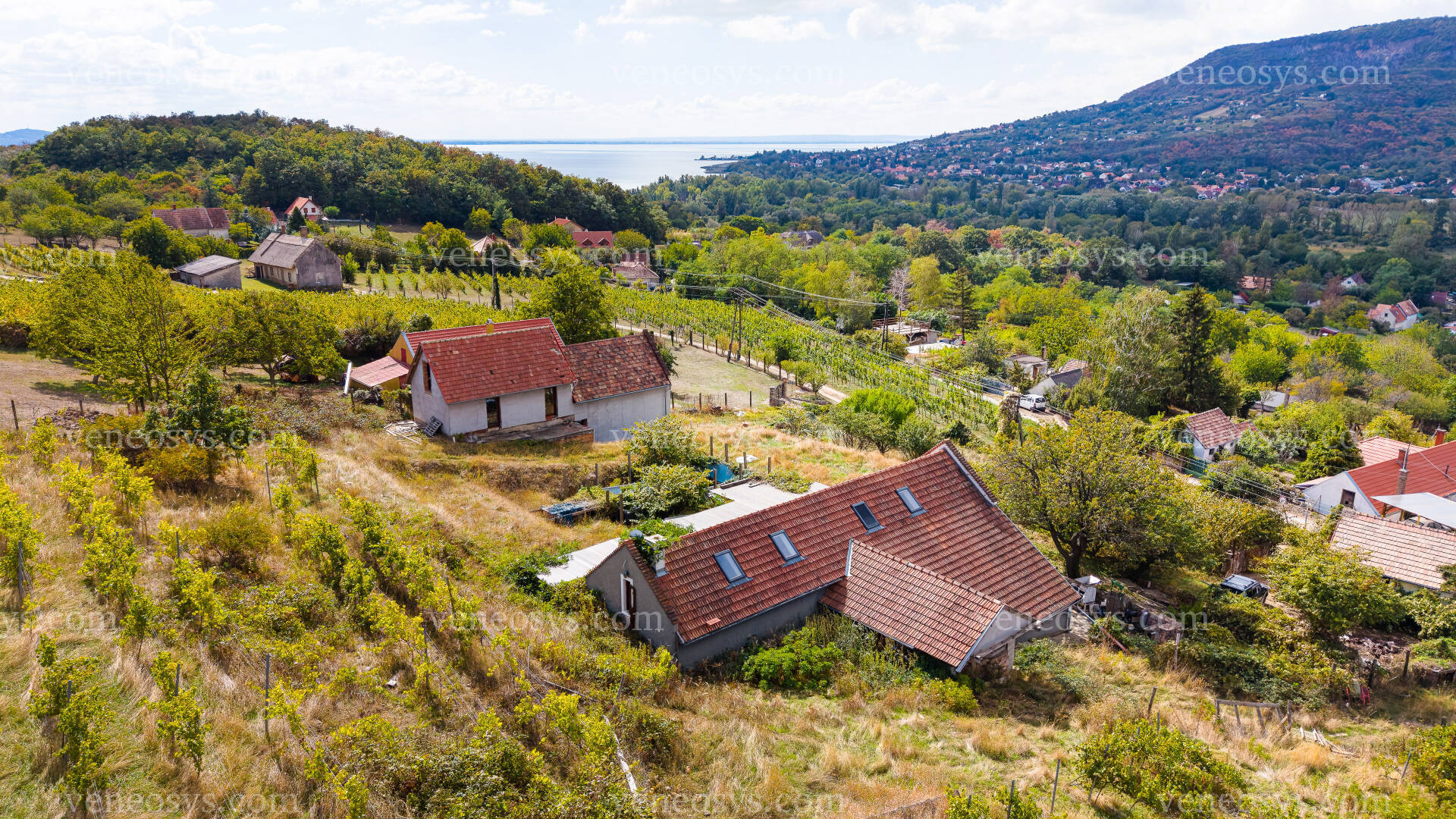 Kép 4