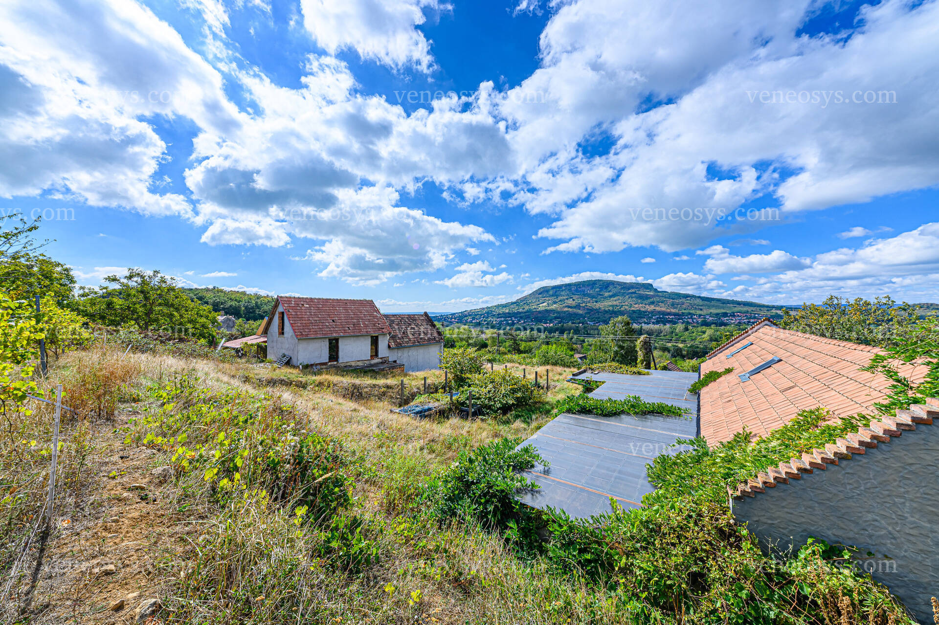 Kép 5
