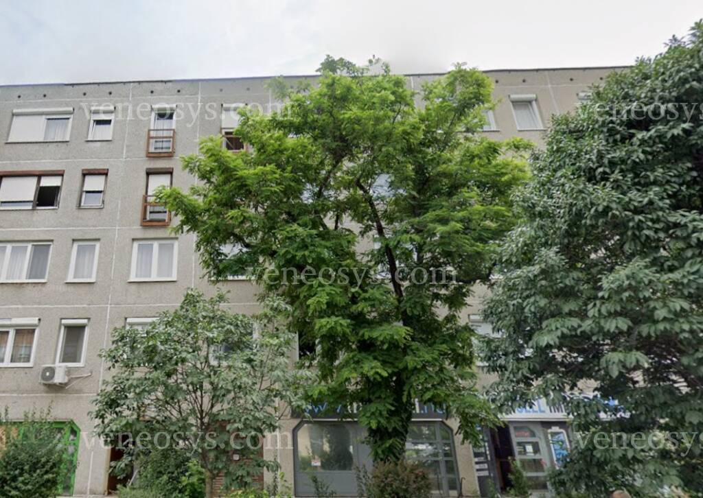Kép 11