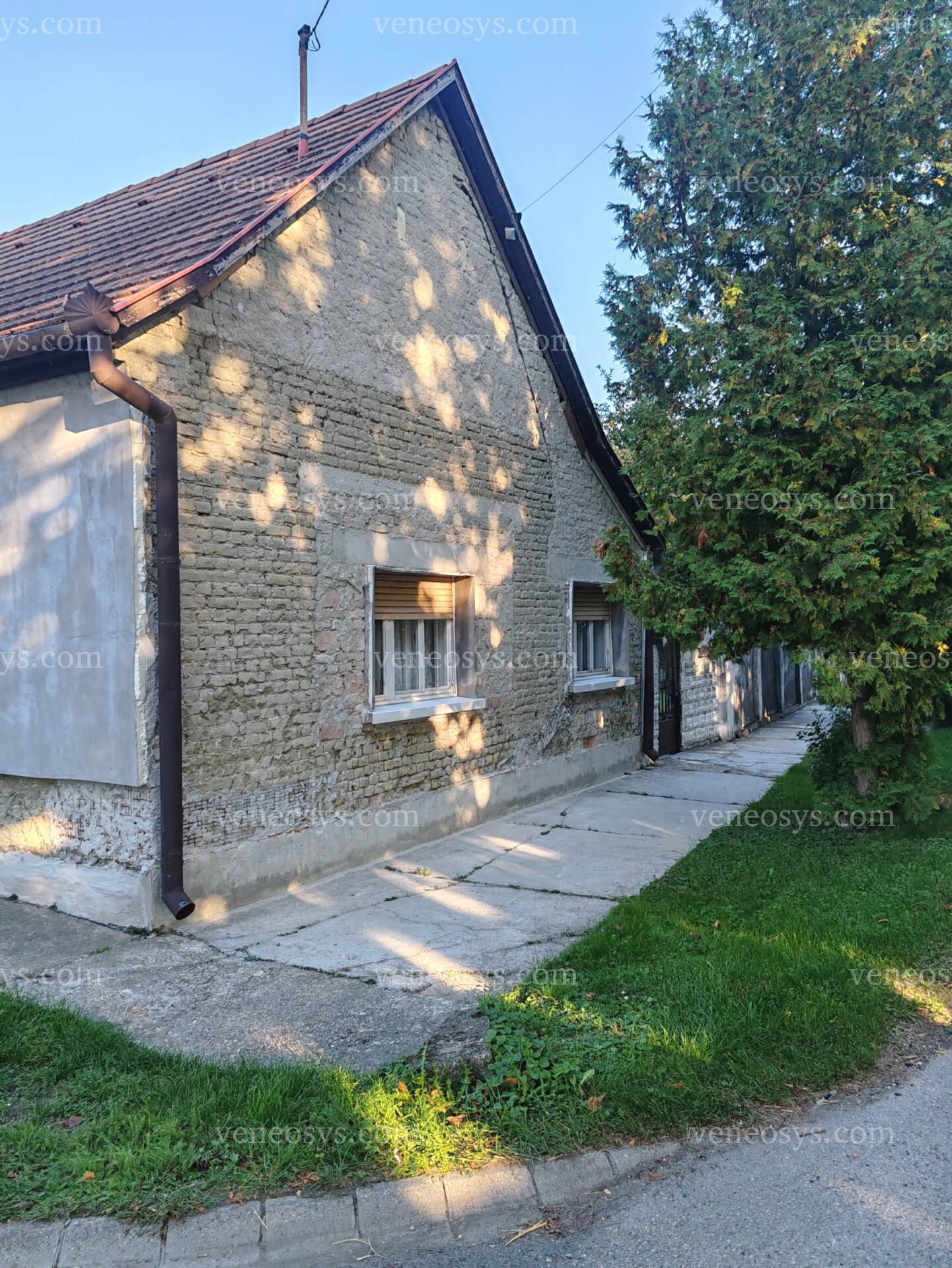 Kép 4