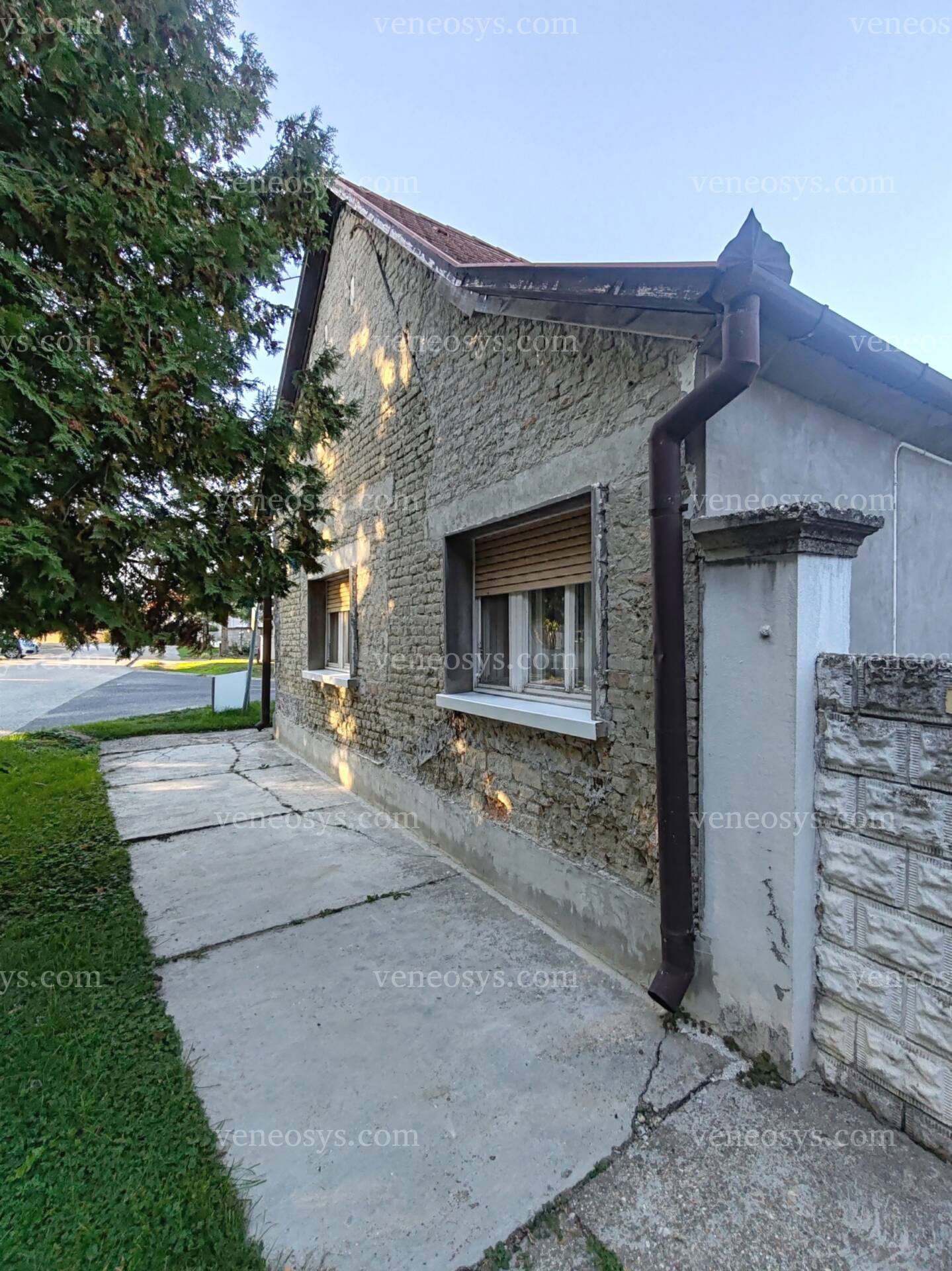 Kép 3
