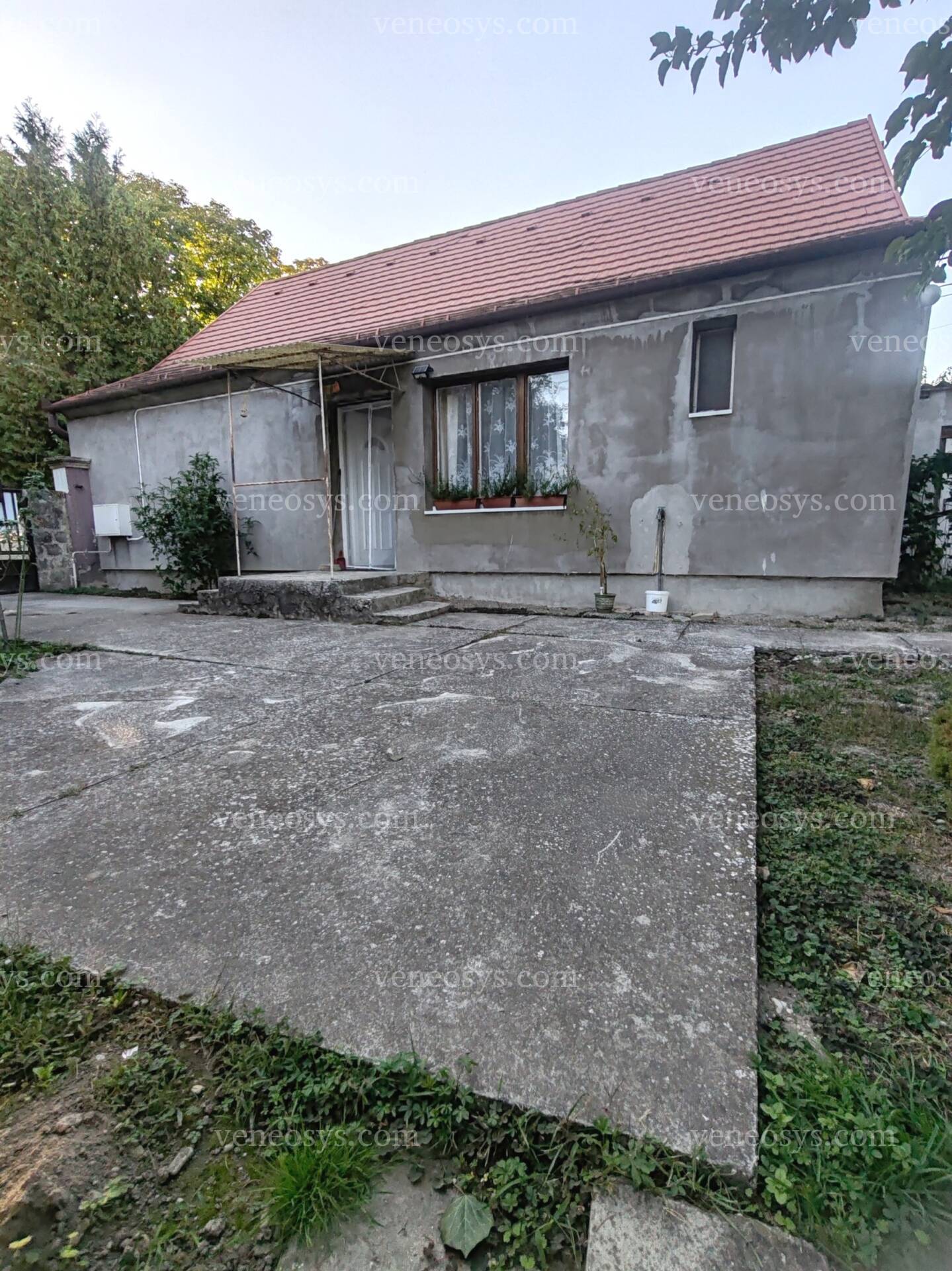 Kép 19