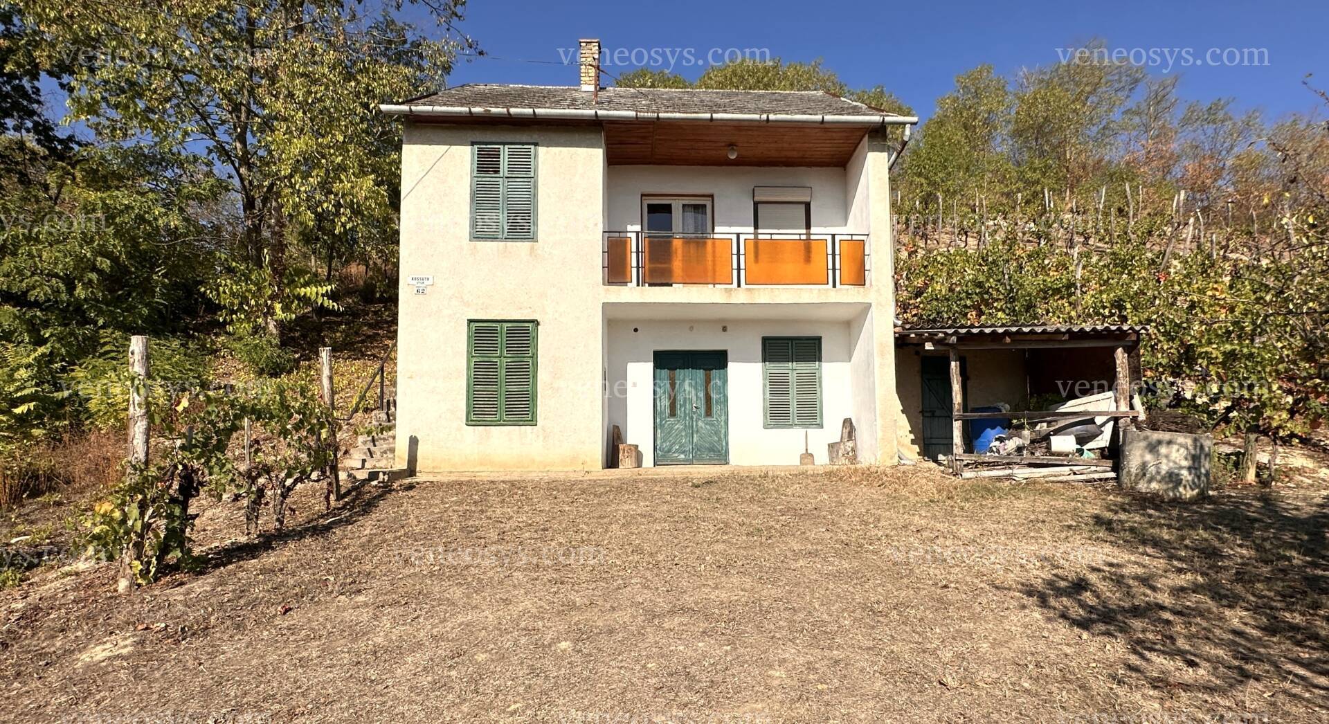 Kép 4