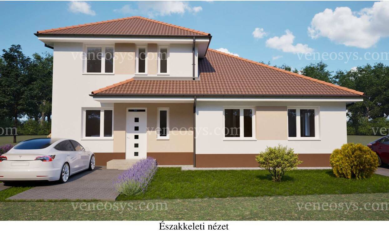 Kép 13
