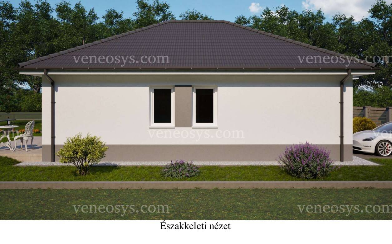 Kép 7
