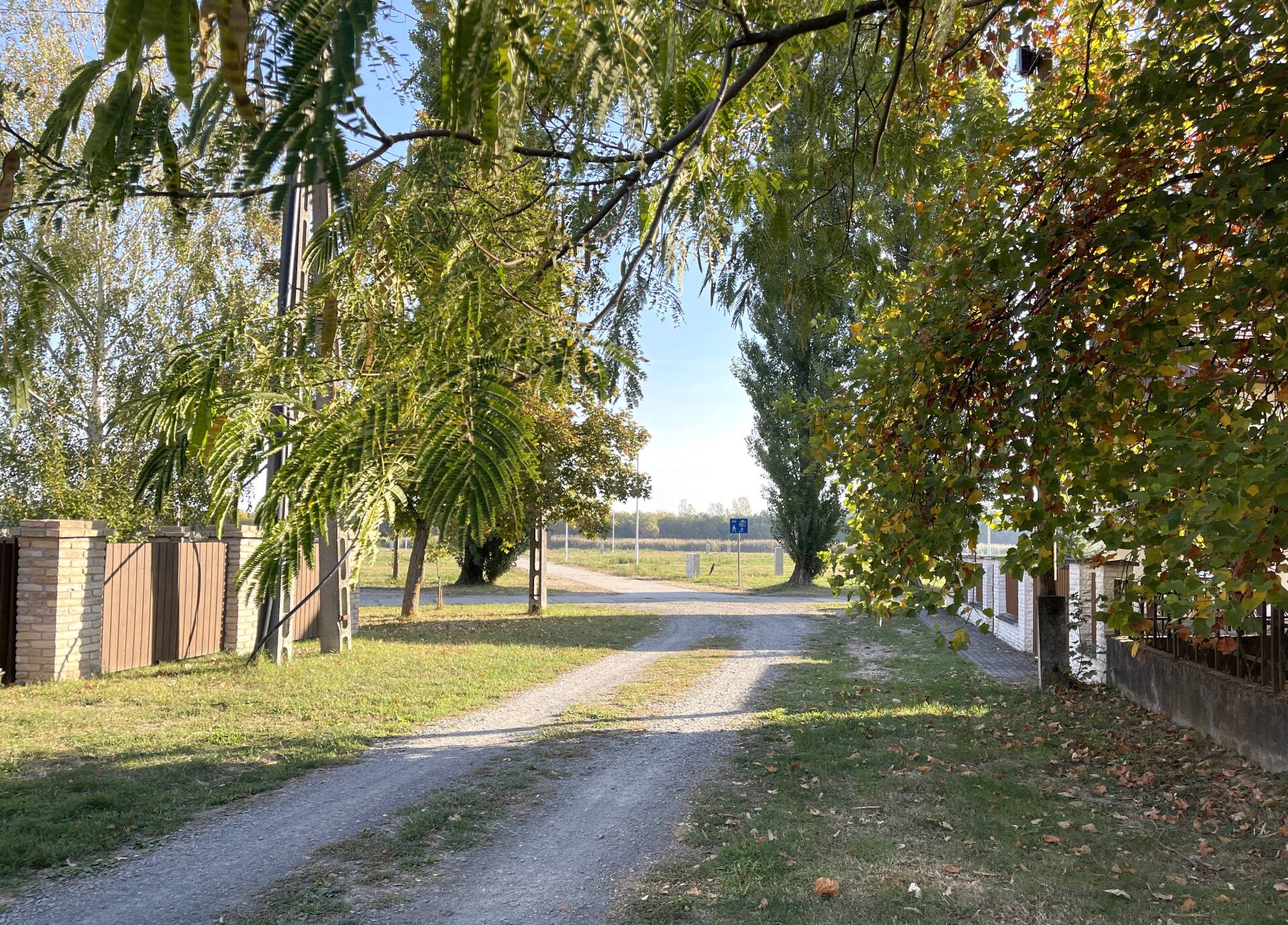 Kép 32