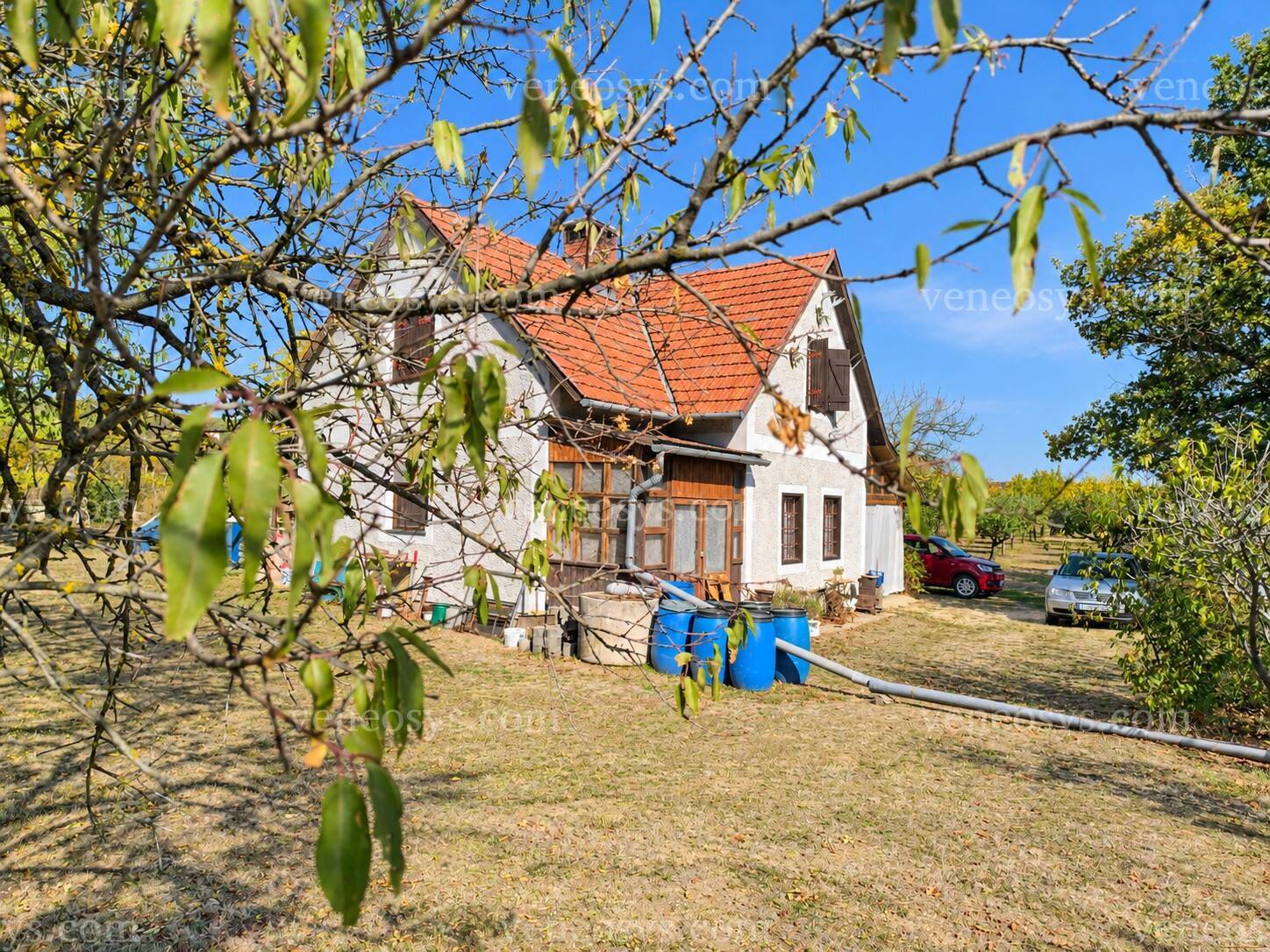 Kép 7