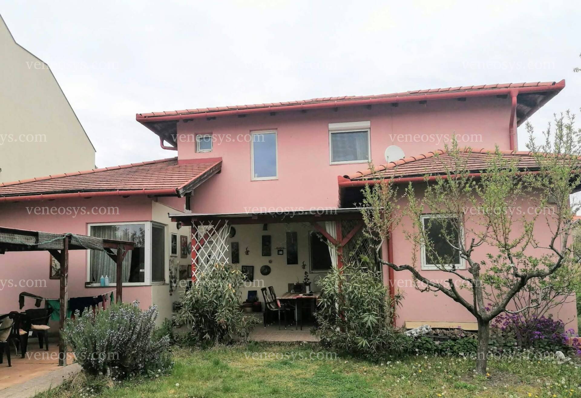 Kép 1