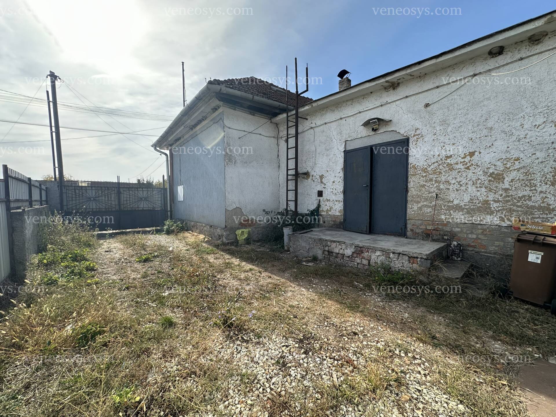 Kép 4