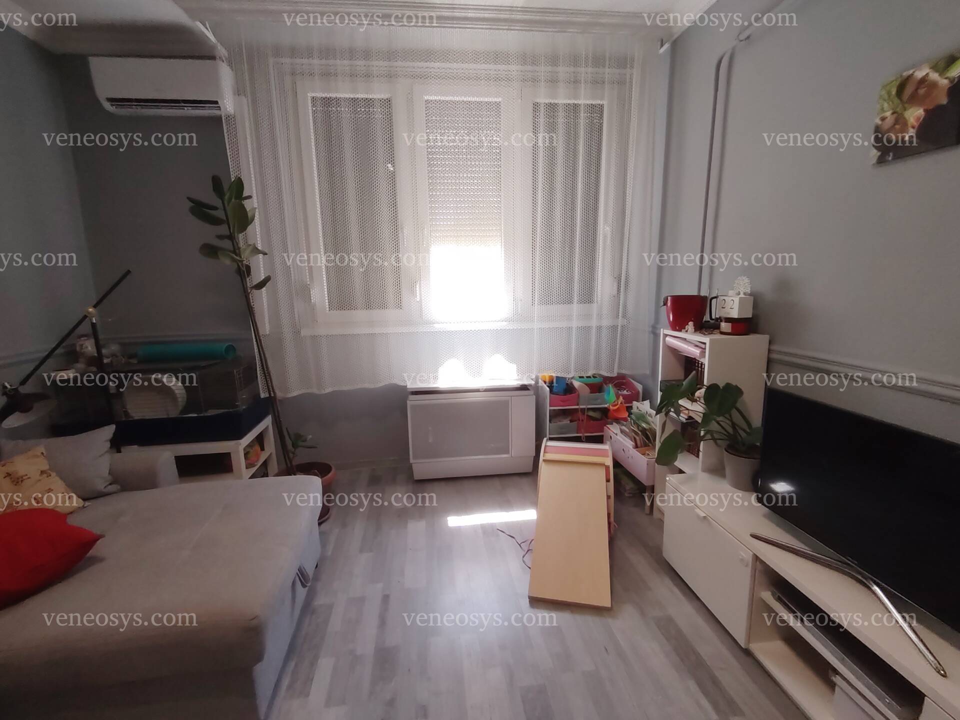 Kép 7