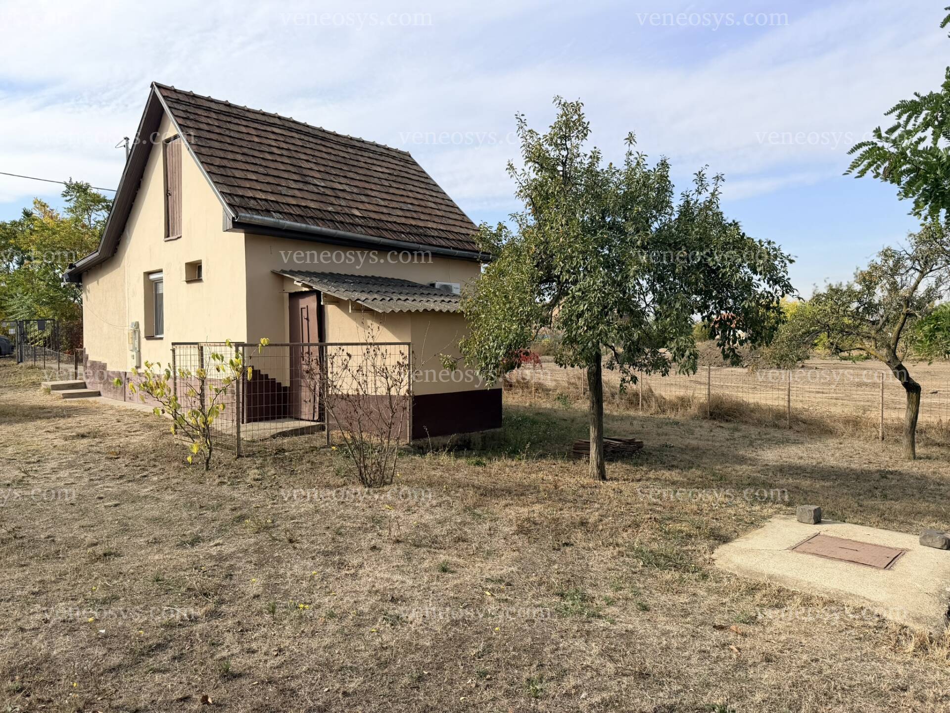 Kép 13