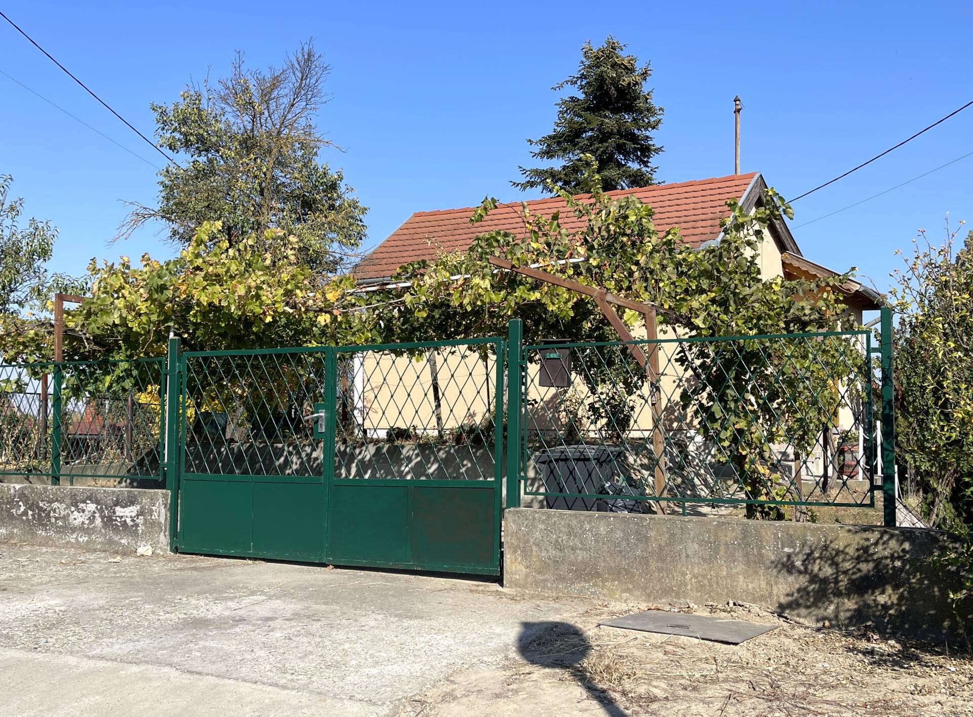 Kép 1