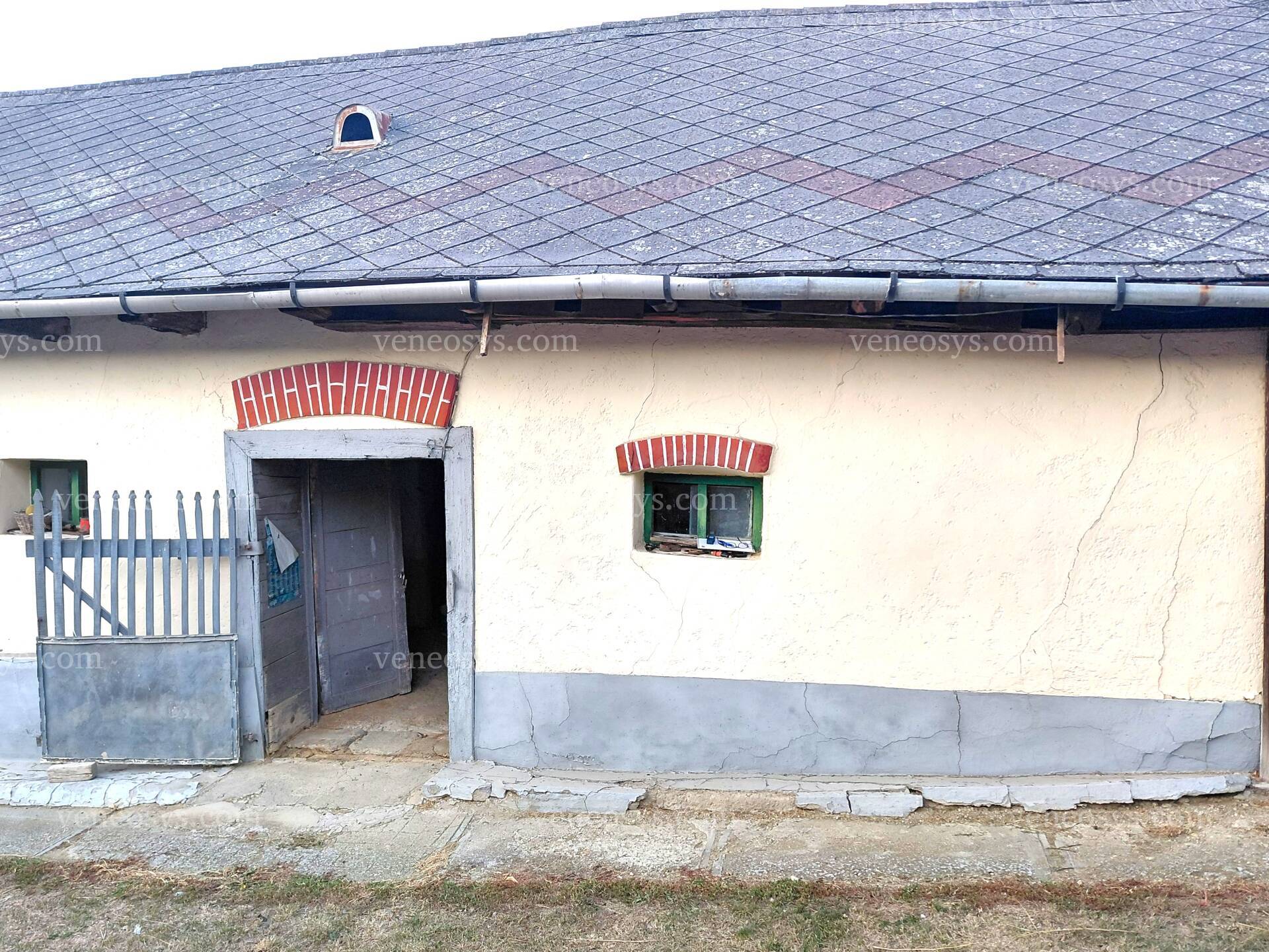 Kép 10